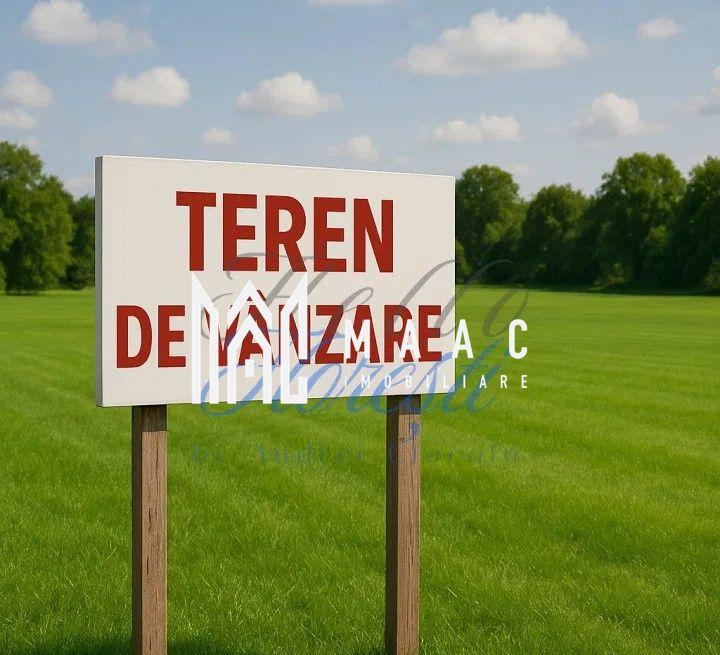 Teren intravilan 5500 mp Cristian investitie - 3