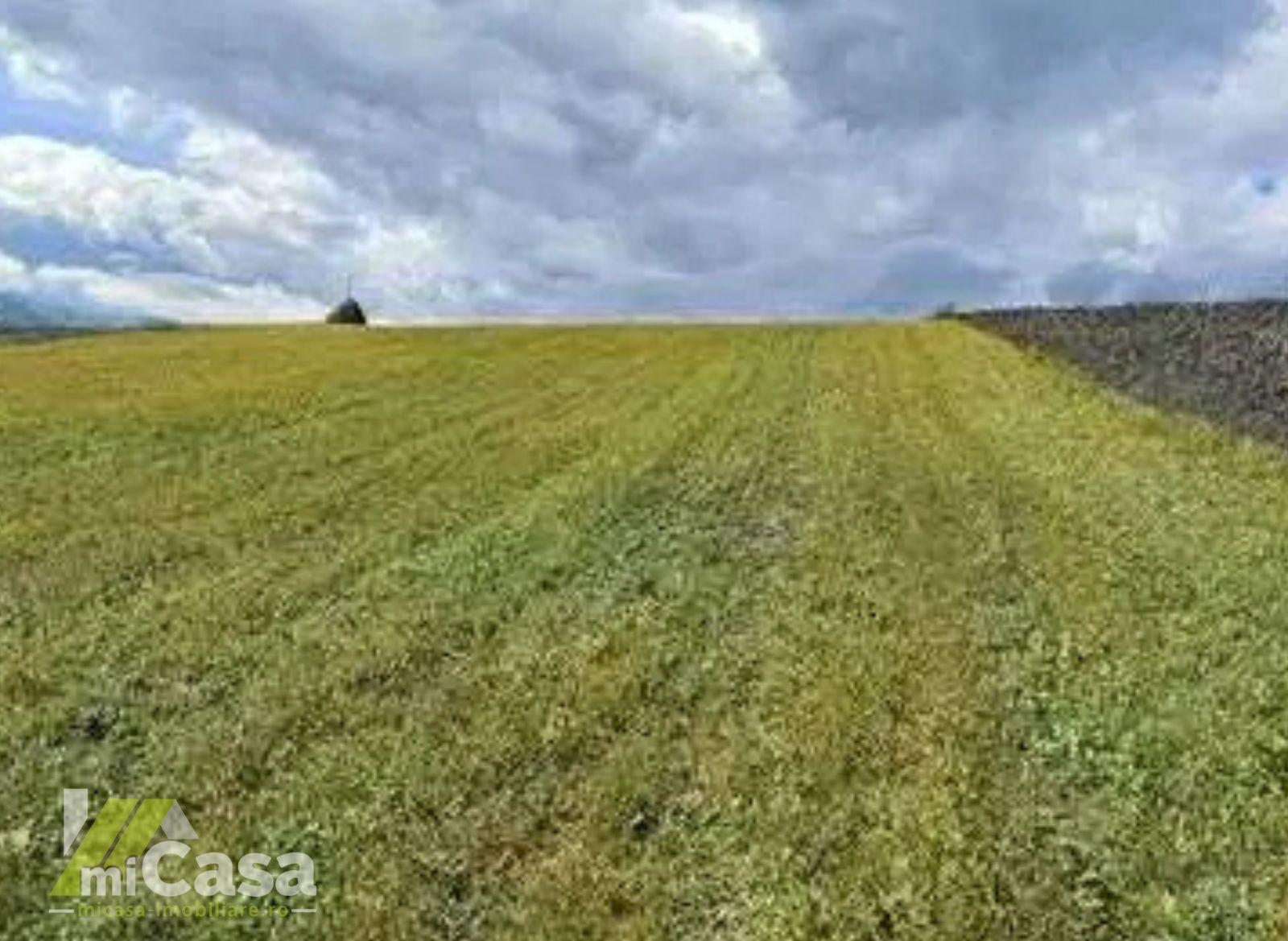 Teren intravilan– sat Șivița, comuna Tulucești, jud. Galați - 2