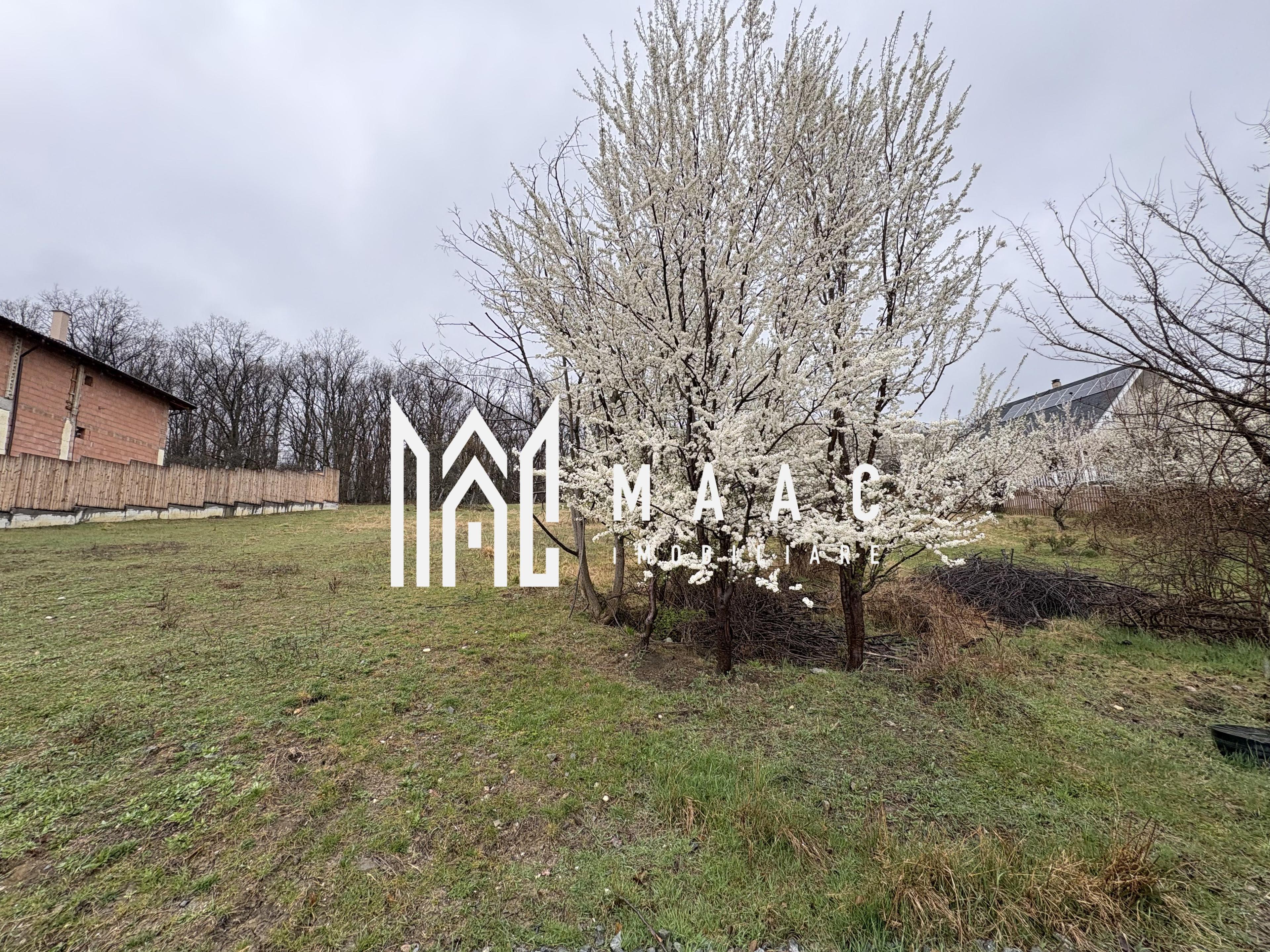 Teren Cisnădioara, 1000 mp, PUZ aprobat, utilități - 8