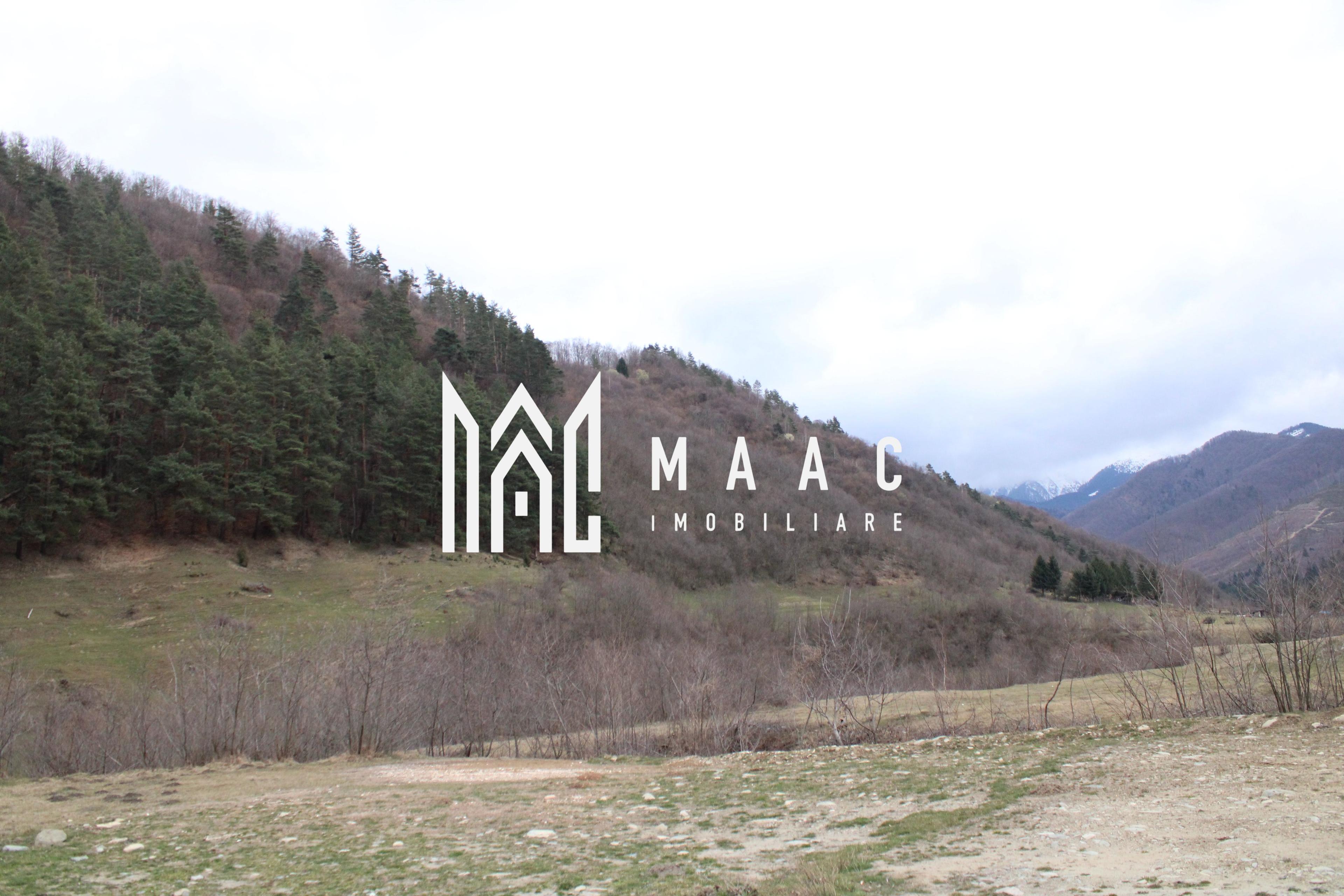 Un colt de rai la pretul unei garsoniere - 5