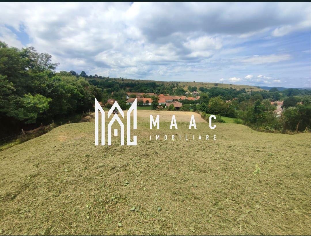 Teren intravilan | 3860 mp în Sărata | Ideal Pensiune sau Resort - 2