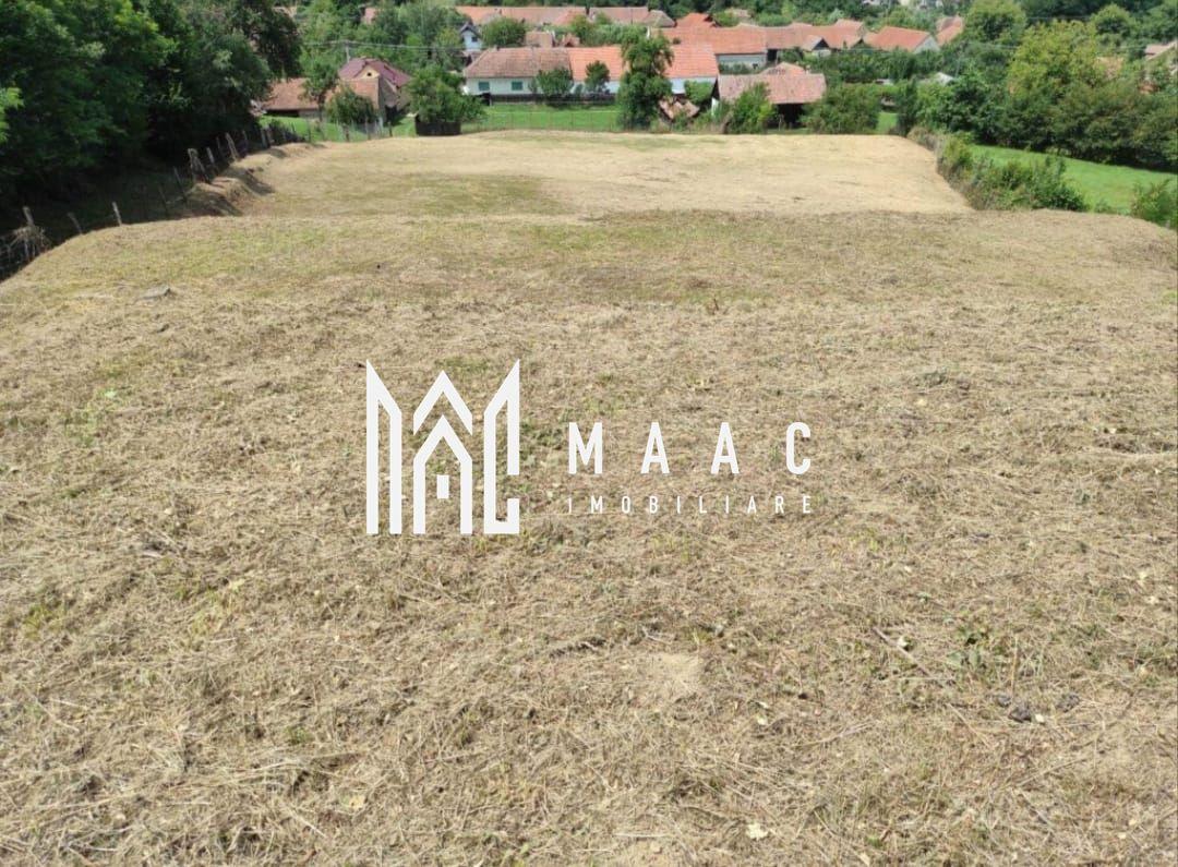 Teren intravilan | 3860 mp în Sărata | Ideal Pensiune sau Resort - 3