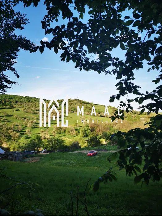 Teren | Intravilan | 5129 MP | 2 Cabane AFrame | Oportunitate Investiție | Bradu - 5