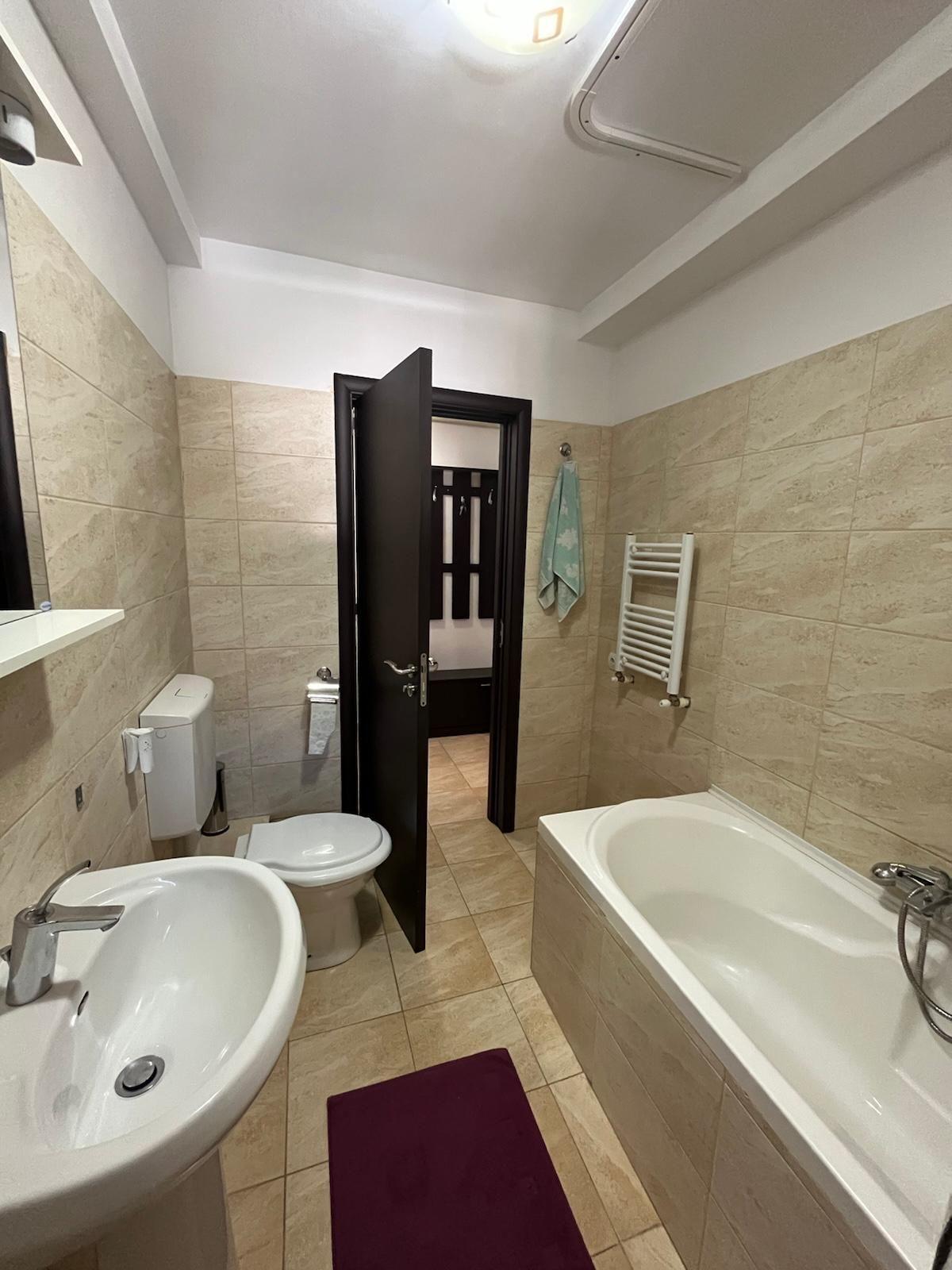 Studio spațios | Parc Sebastian - Strada Ileana Cosanzeana - 7