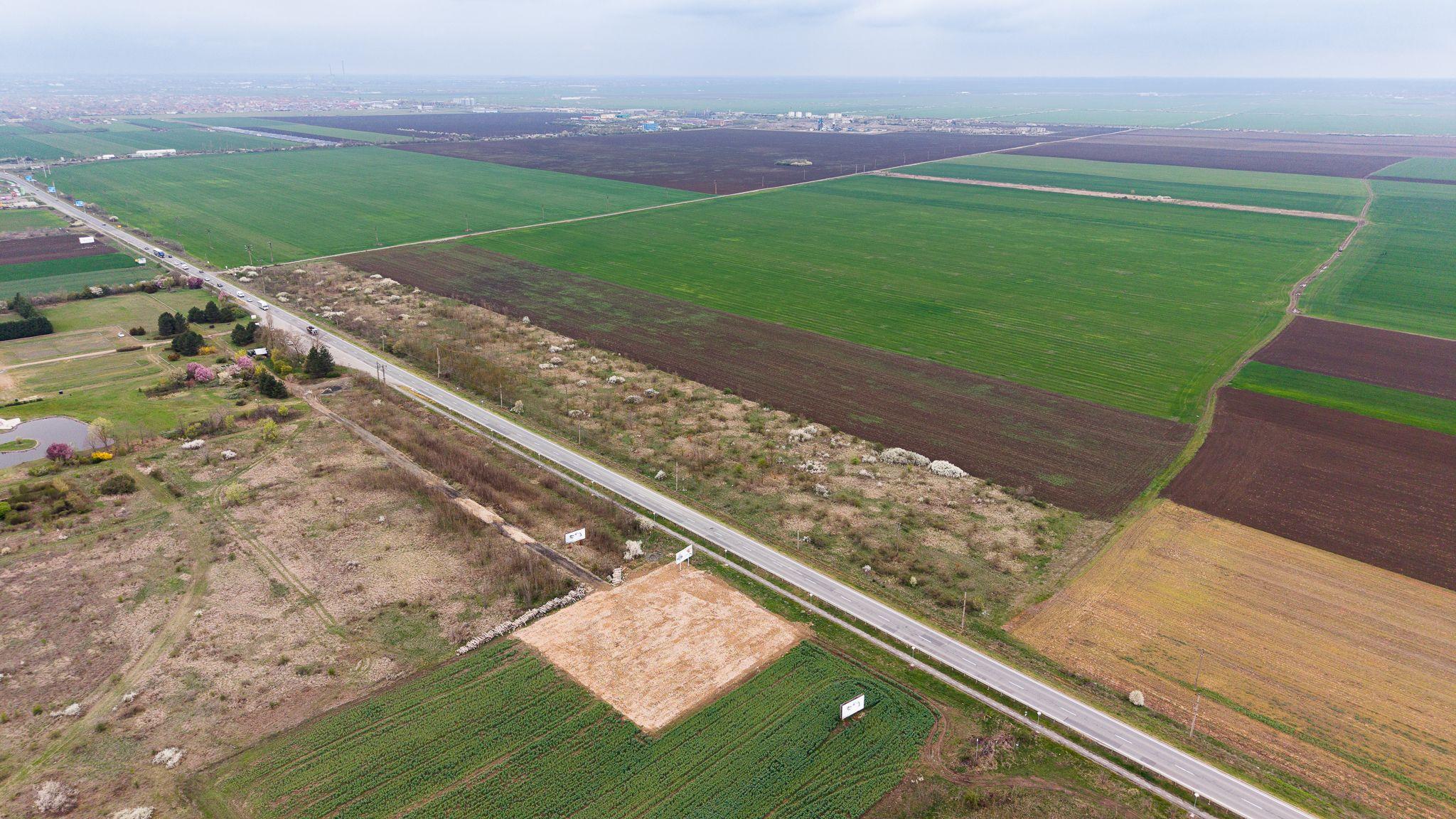 Teren de 41800 mp ieșire Vladimirescu - 10