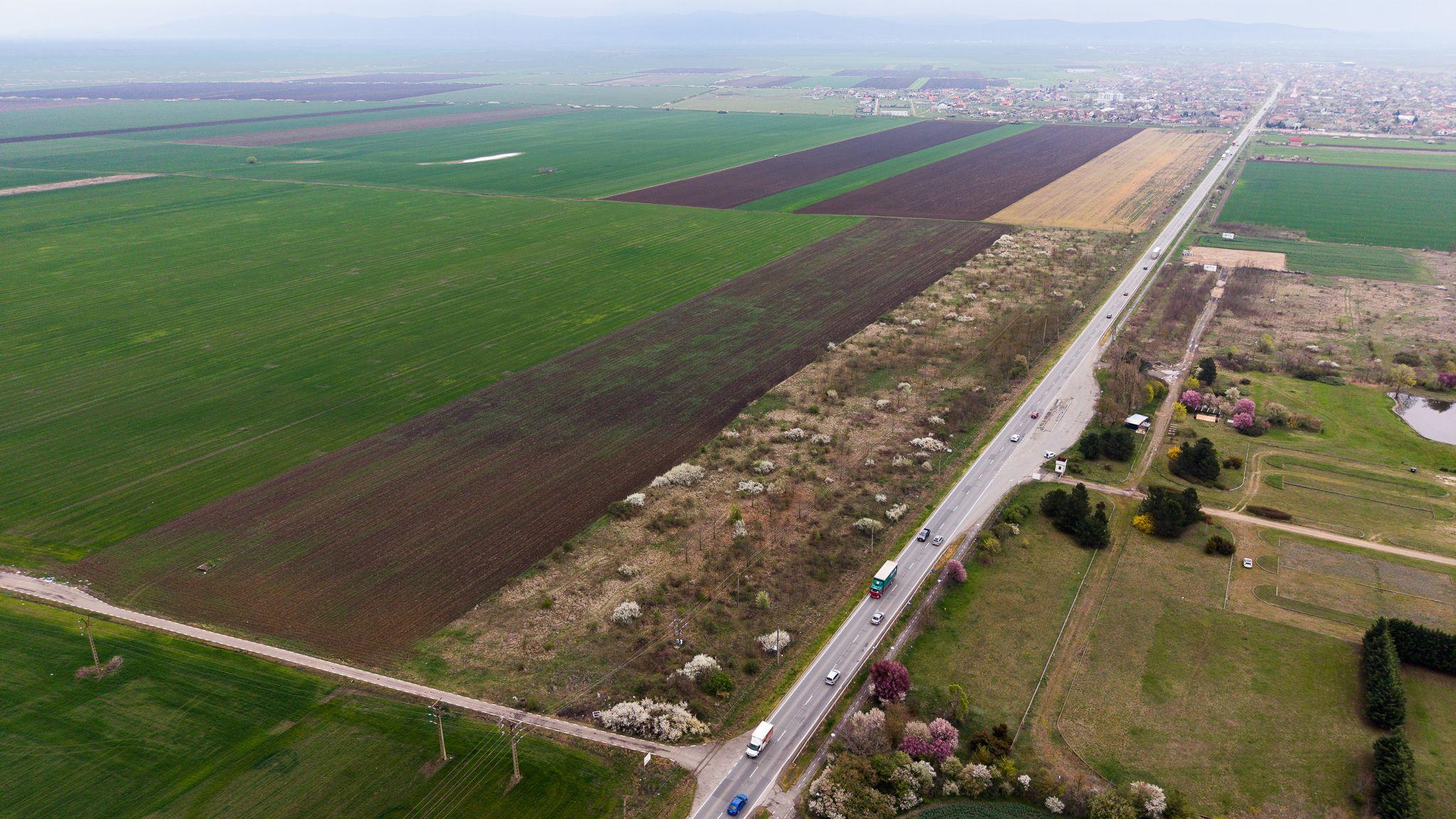 Teren de 41800 mp ieșire Vladimirescu - 8