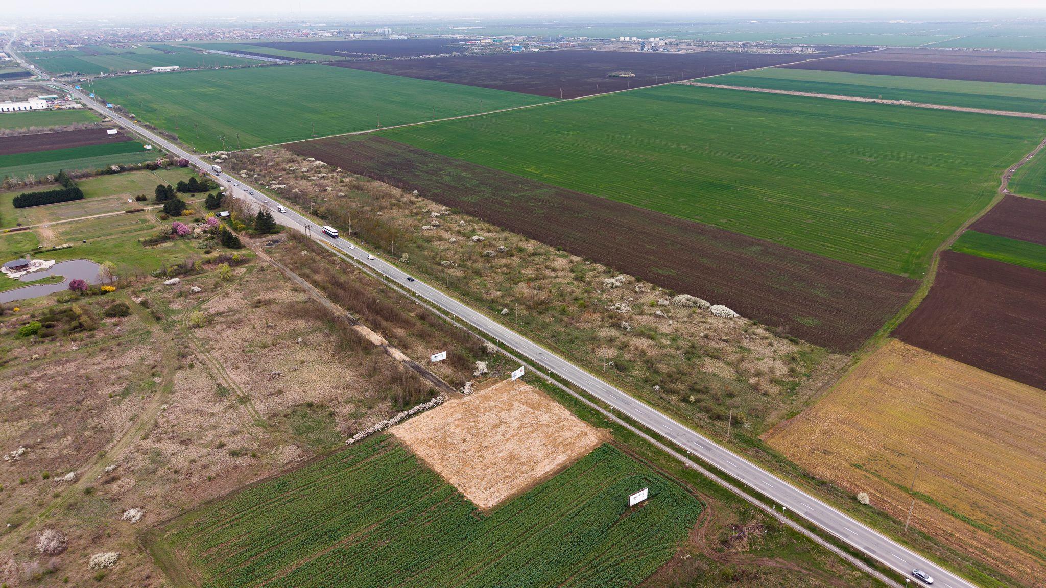 Teren de 41800 mp ieșire Vladimirescu - 9