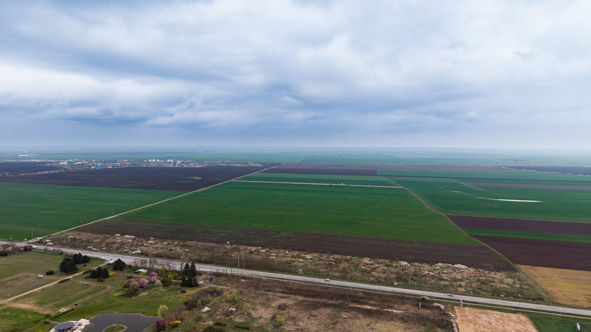 Teren de 41800 mp ieșire Vladimirescu - 6