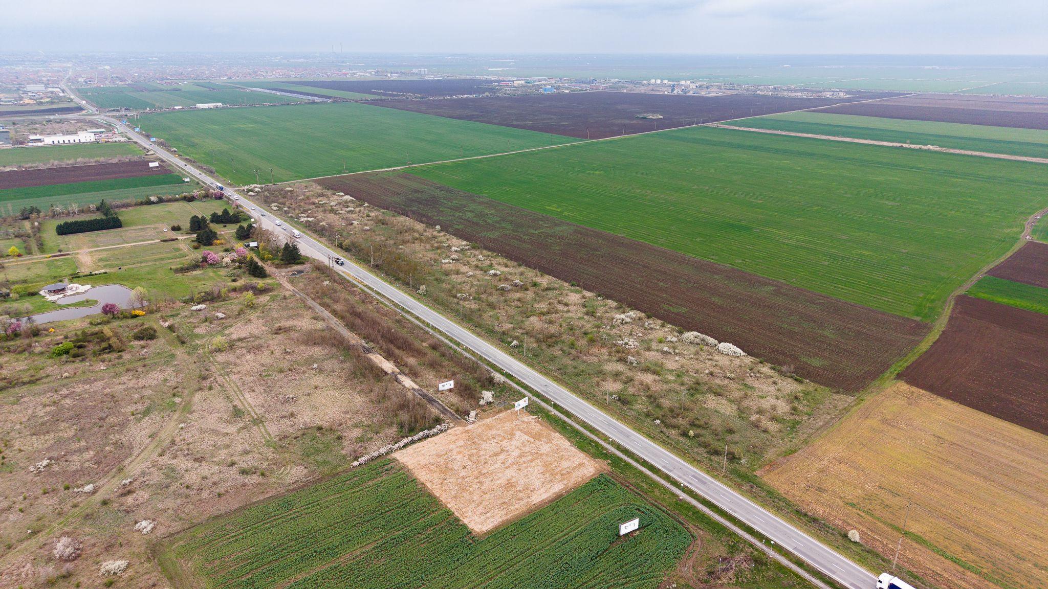 Teren de 41800 mp ieșire Vladimirescu - 3