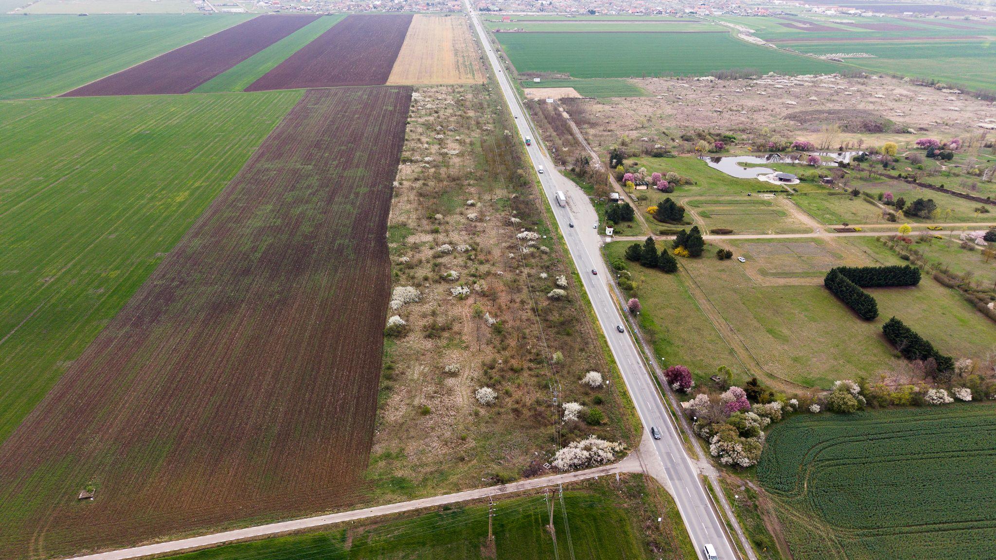 Teren de 41800 mp ieșire Vladimirescu - 2