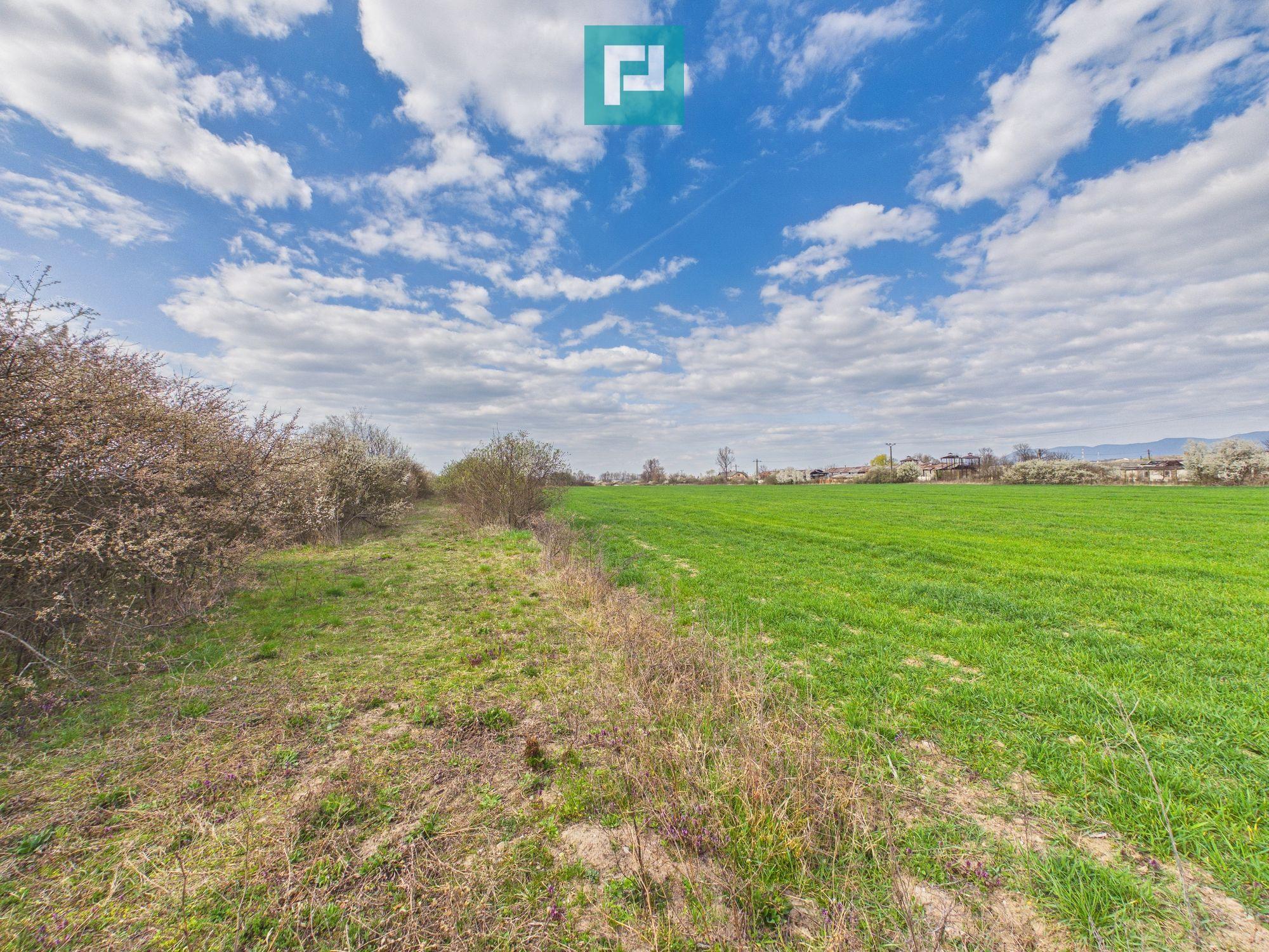 Teren extravilan, 1 ha, în orașul Sebiș, Arad - 4