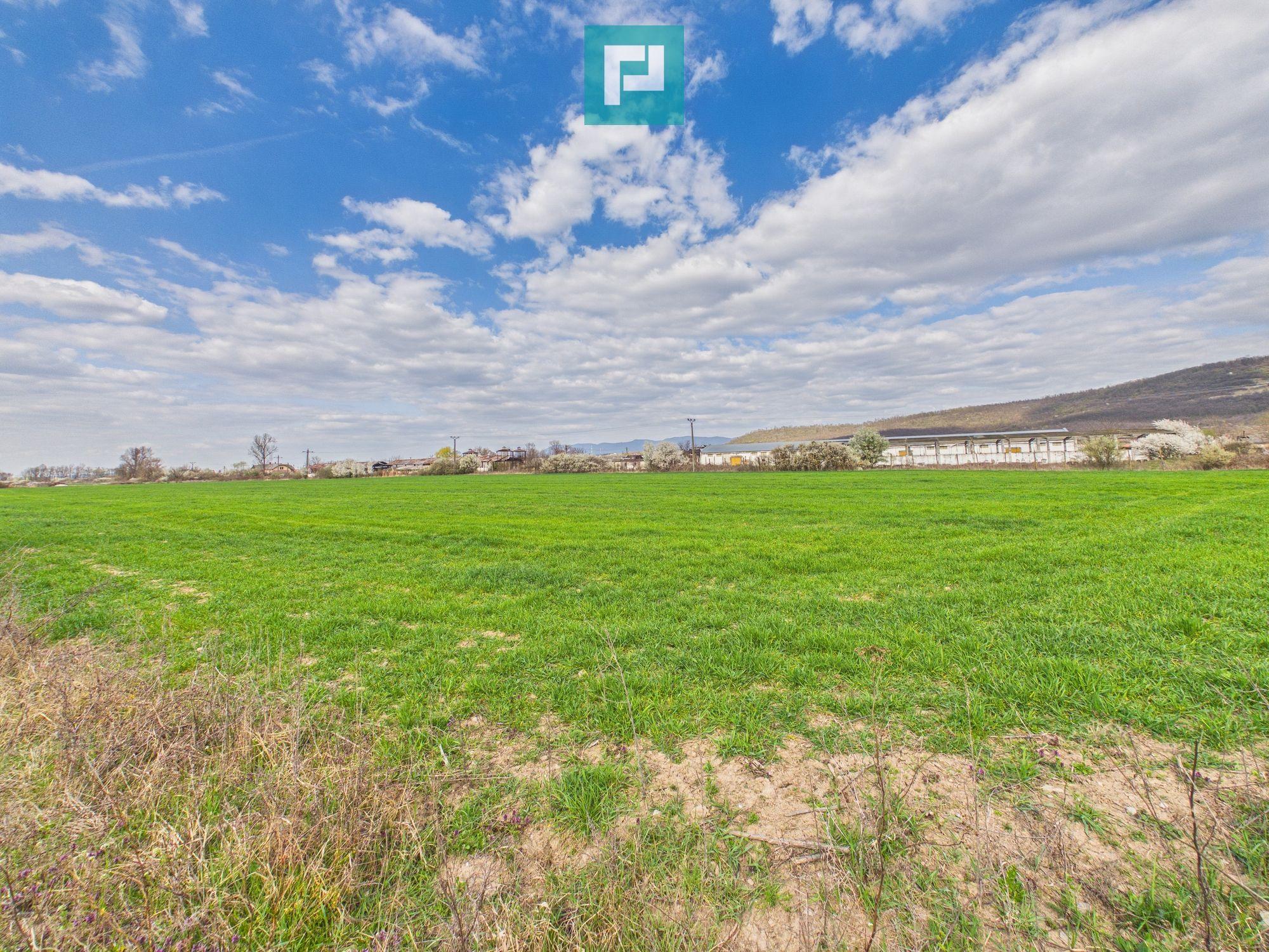 Teren extravilan, 1 ha, în orașul Sebiș, Arad - 5