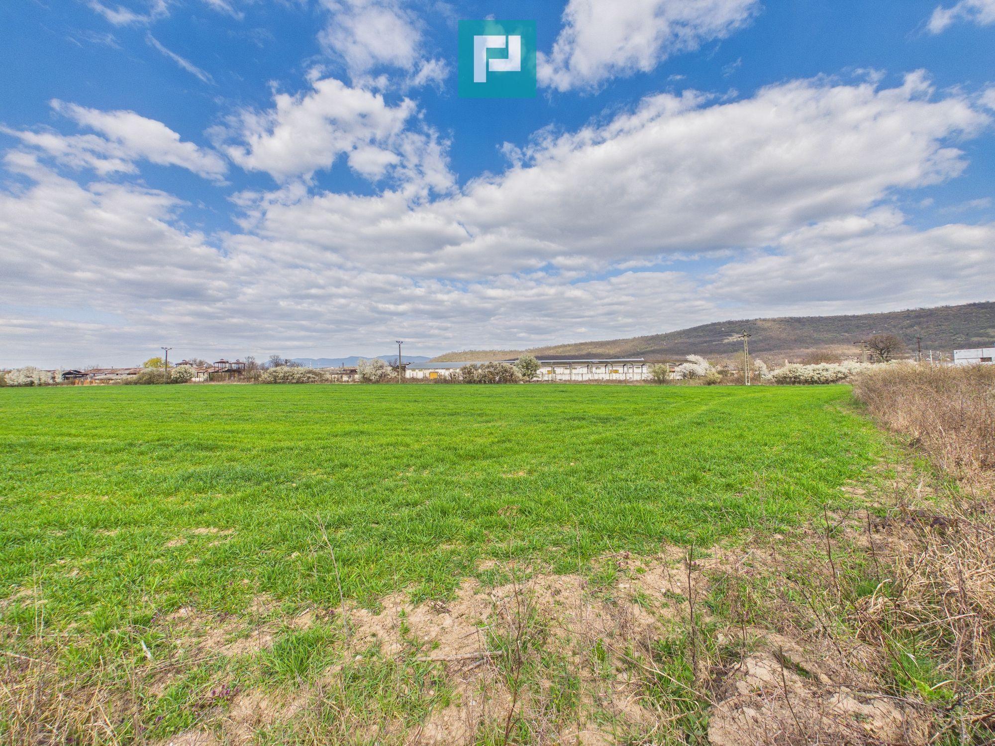 Teren extravilan, 1 ha, în orașul Sebiș, Arad - 3