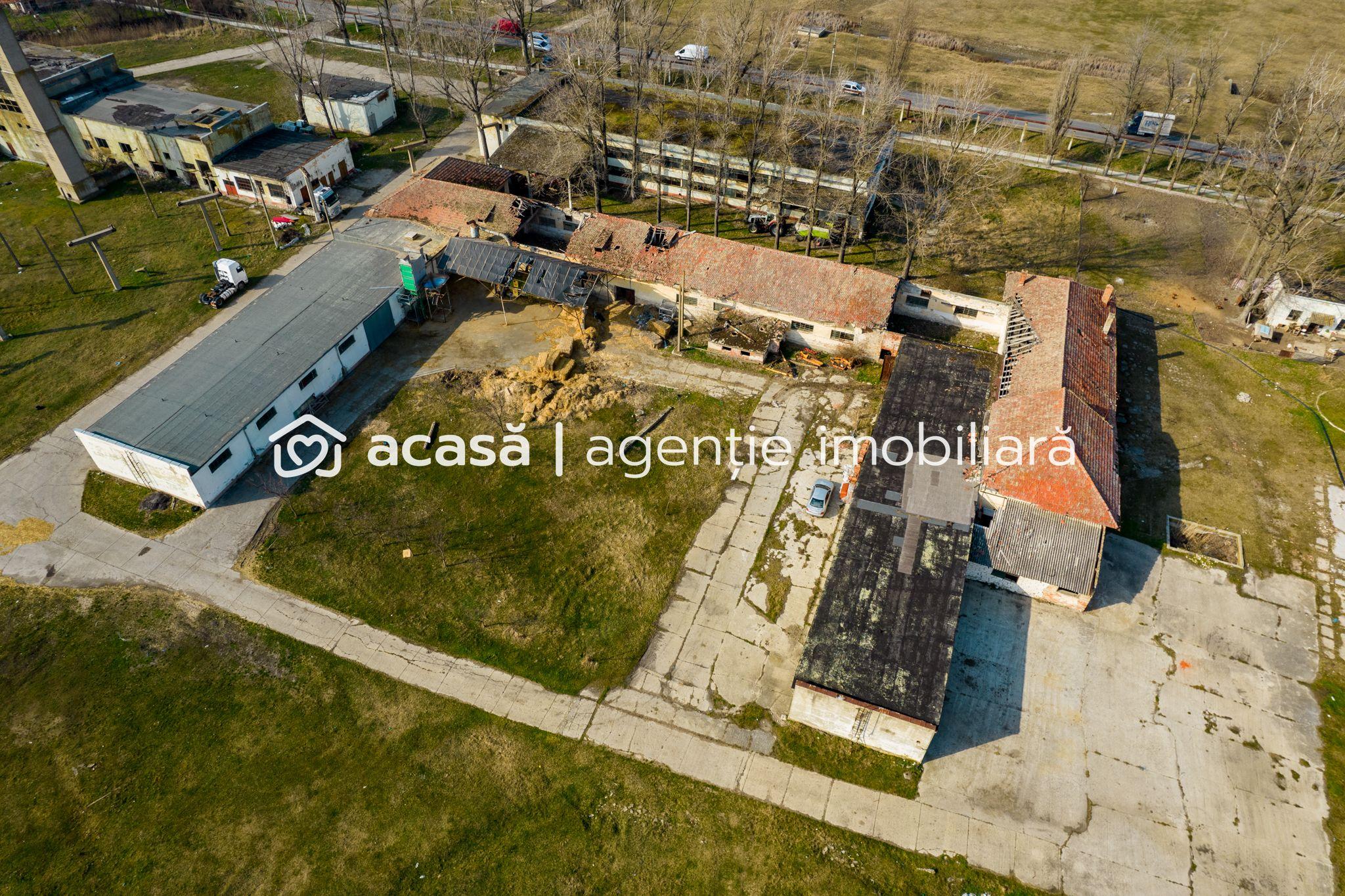 Teren industrial 42 ha Vama Nadlac - 5