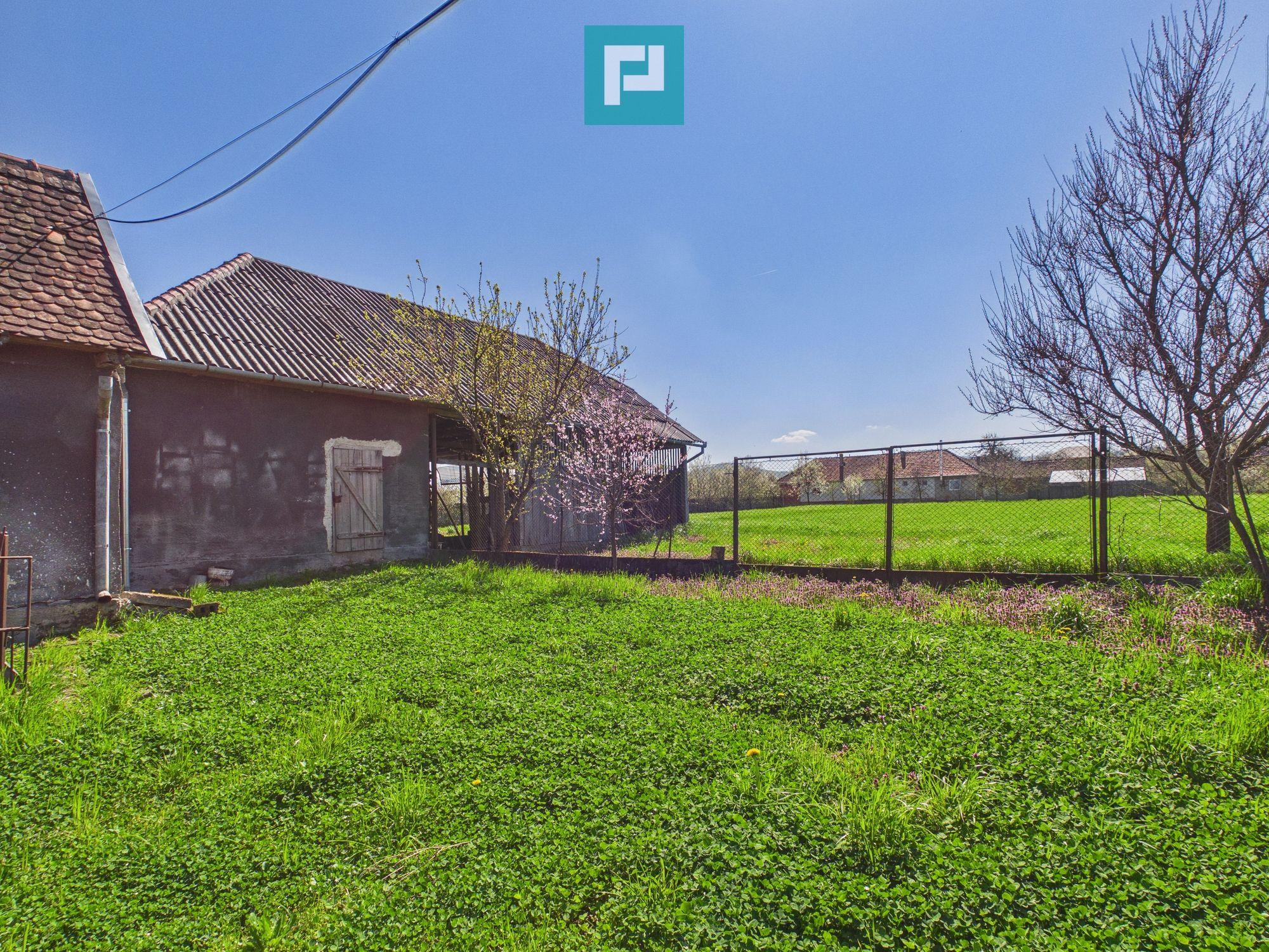 Casă solidă cu 5 camere in localitatea Almaș, Arad - 22