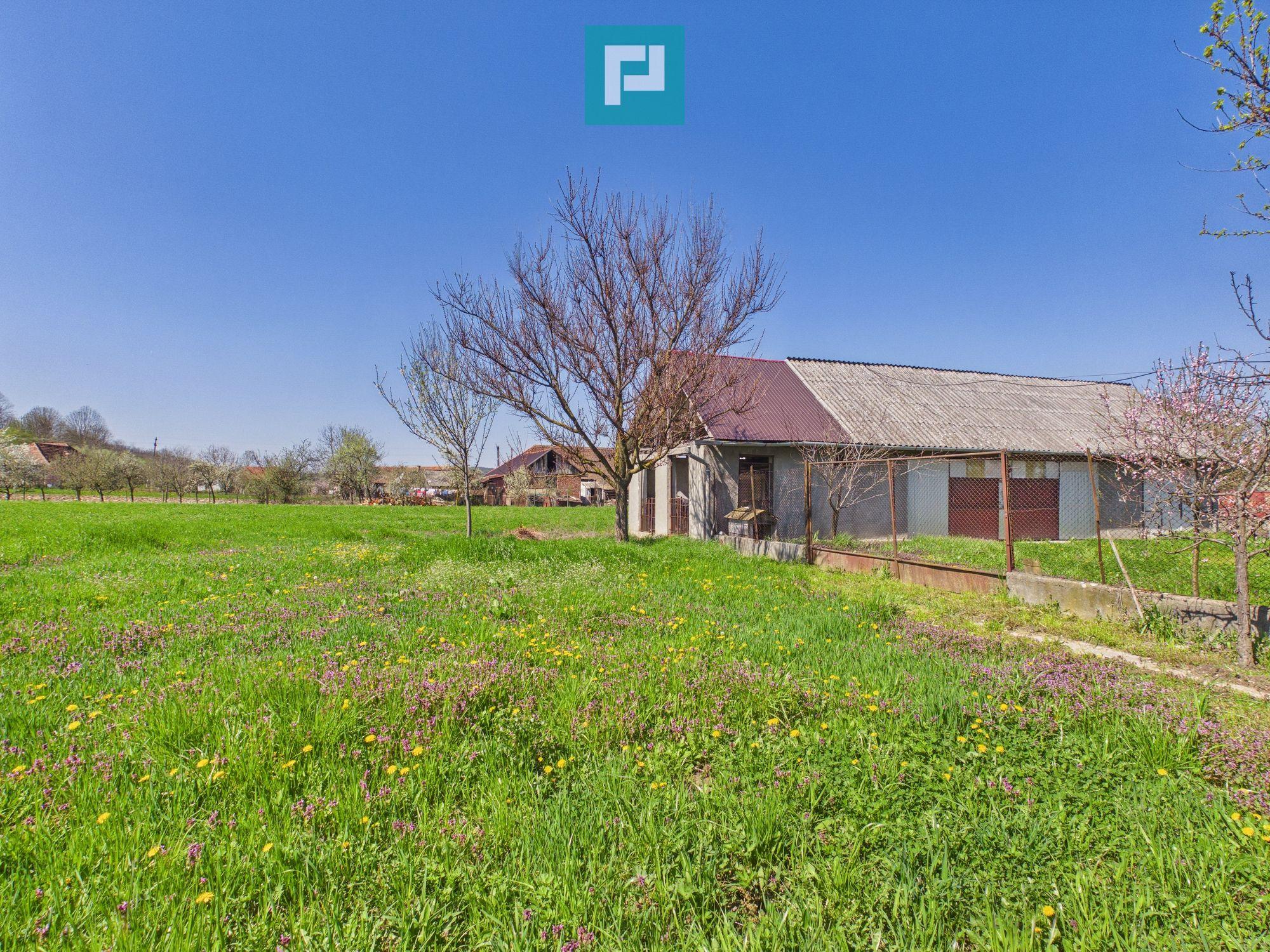 Casă solidă cu 5 camere in localitatea Almaș, Arad - 24