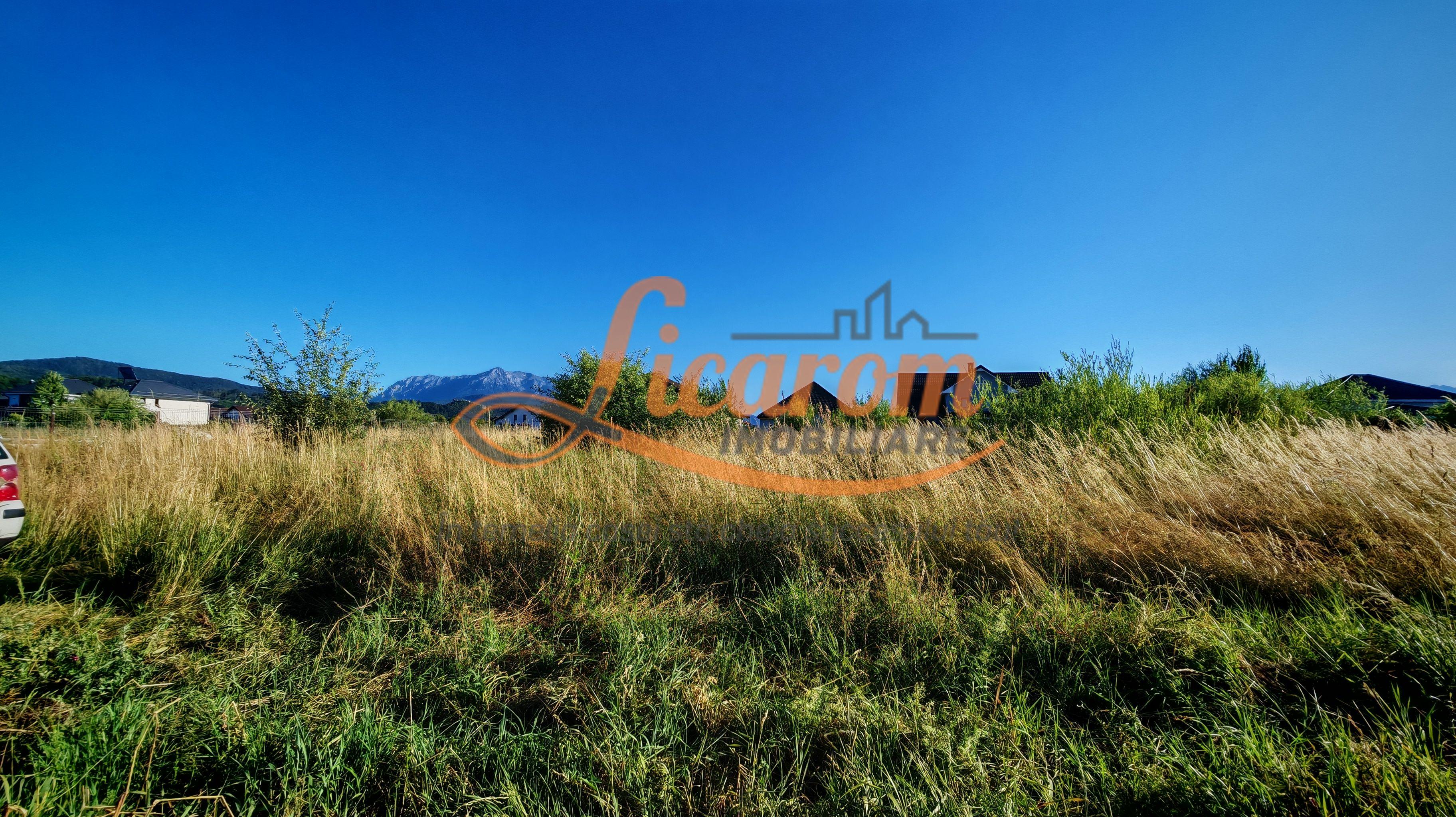 Teren intravilan 1000 mp pt construcții case Cristian str Nisipului - 3