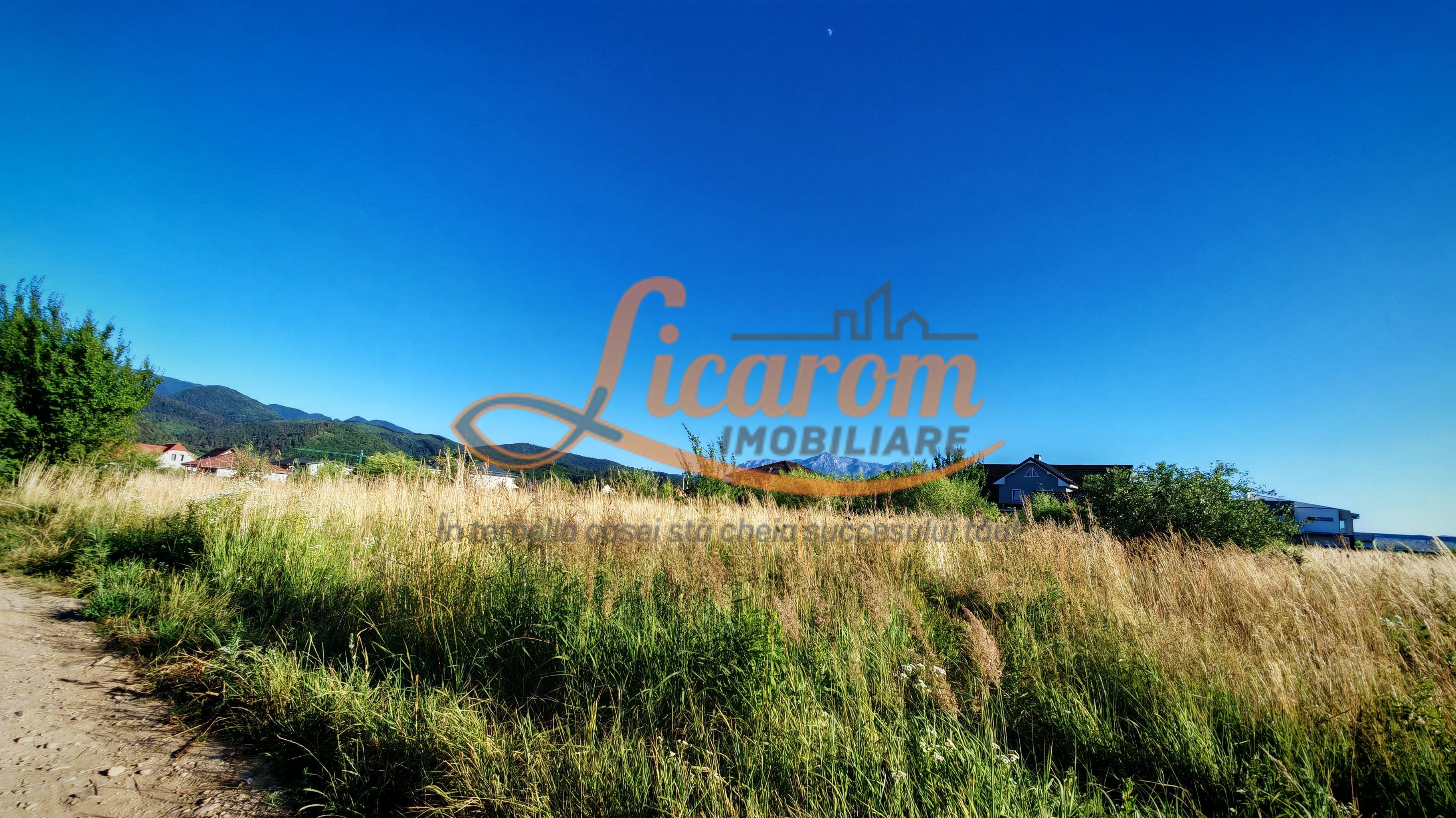 Teren intravilan 1000 mp pt construcții case Cristian str Nisipului - 1