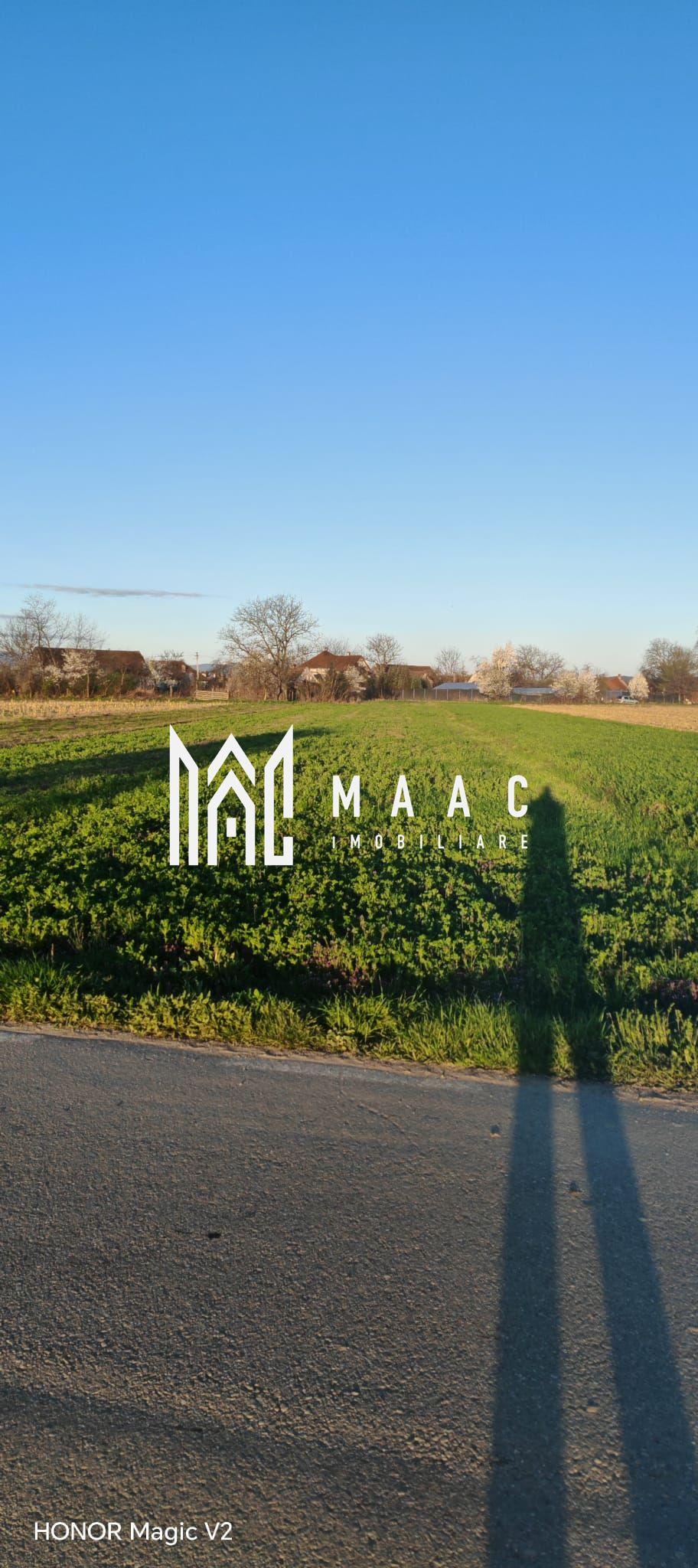 Teren | Intravilan | 1800 MPU | Porumbacu de Jos - 5