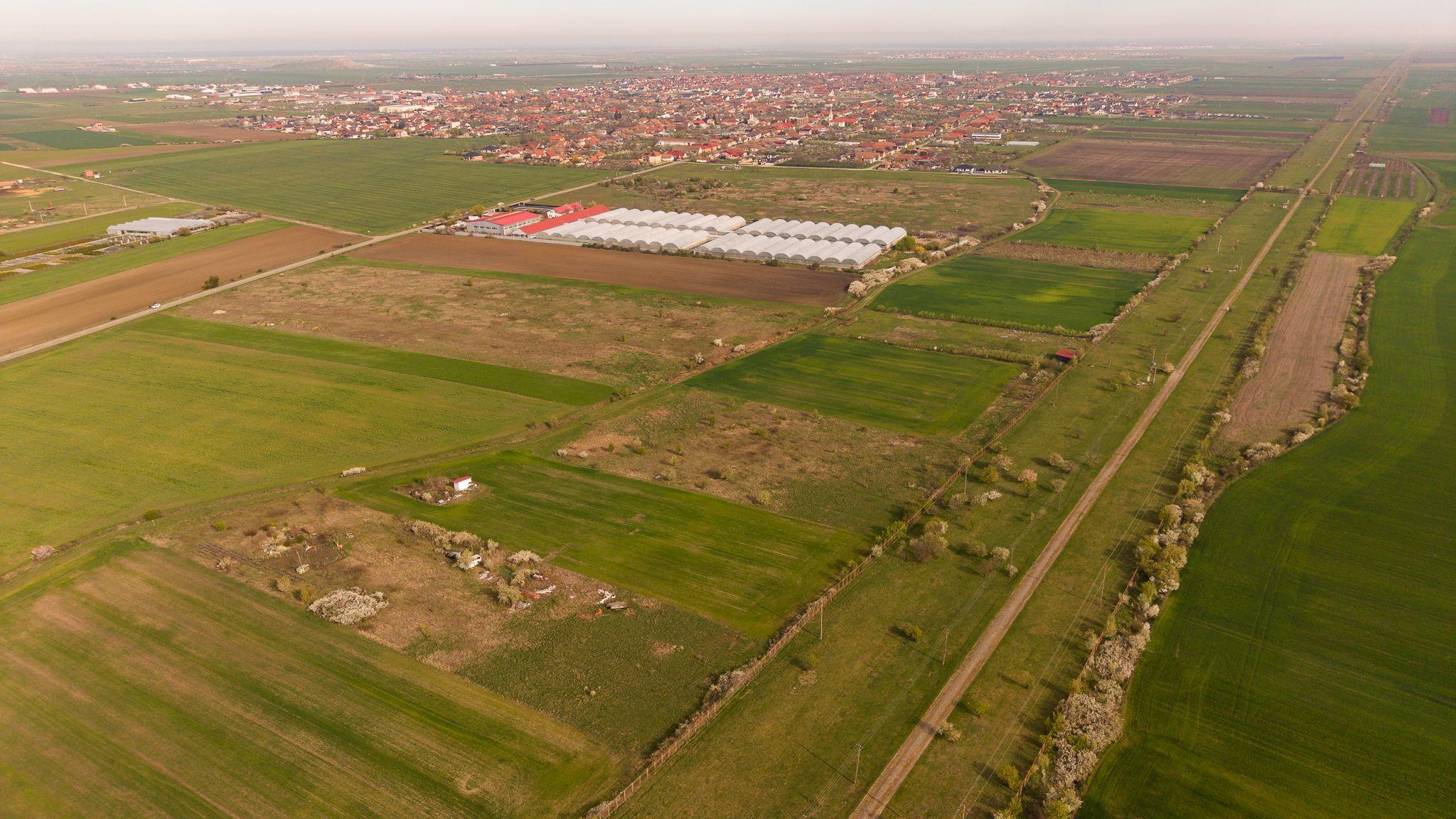 Teren intravilan 6150 mp – Sânleani, jud. Arad - 2