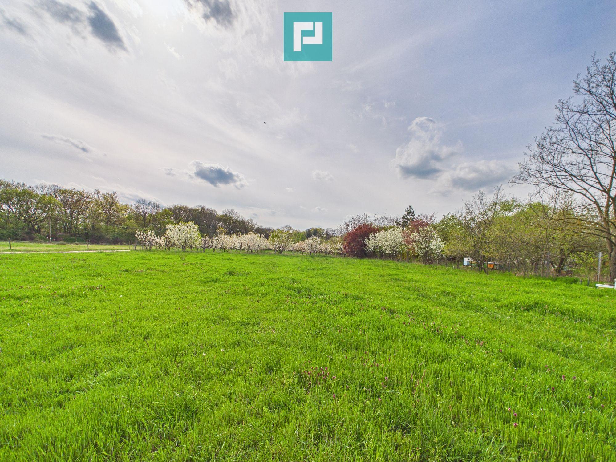 Teren intravilan, 820 mp, Pădure Giroc - 2