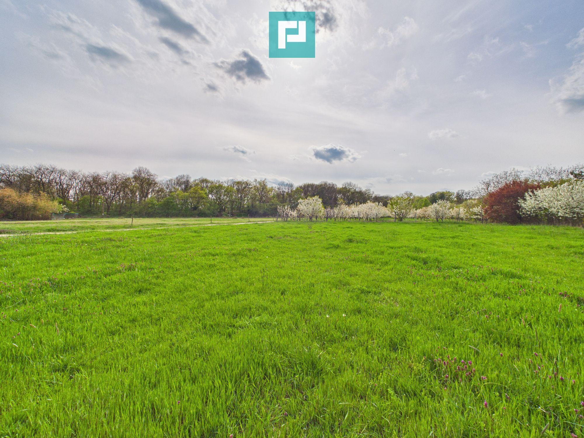 Teren intravilan, 820 mp, Pădure Giroc - 1