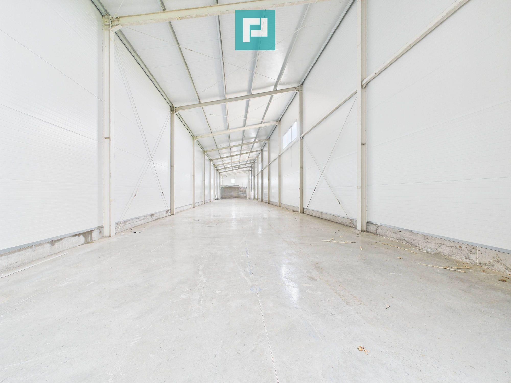 Hală nouă 563mp în zona industrială Sânandrei - 5