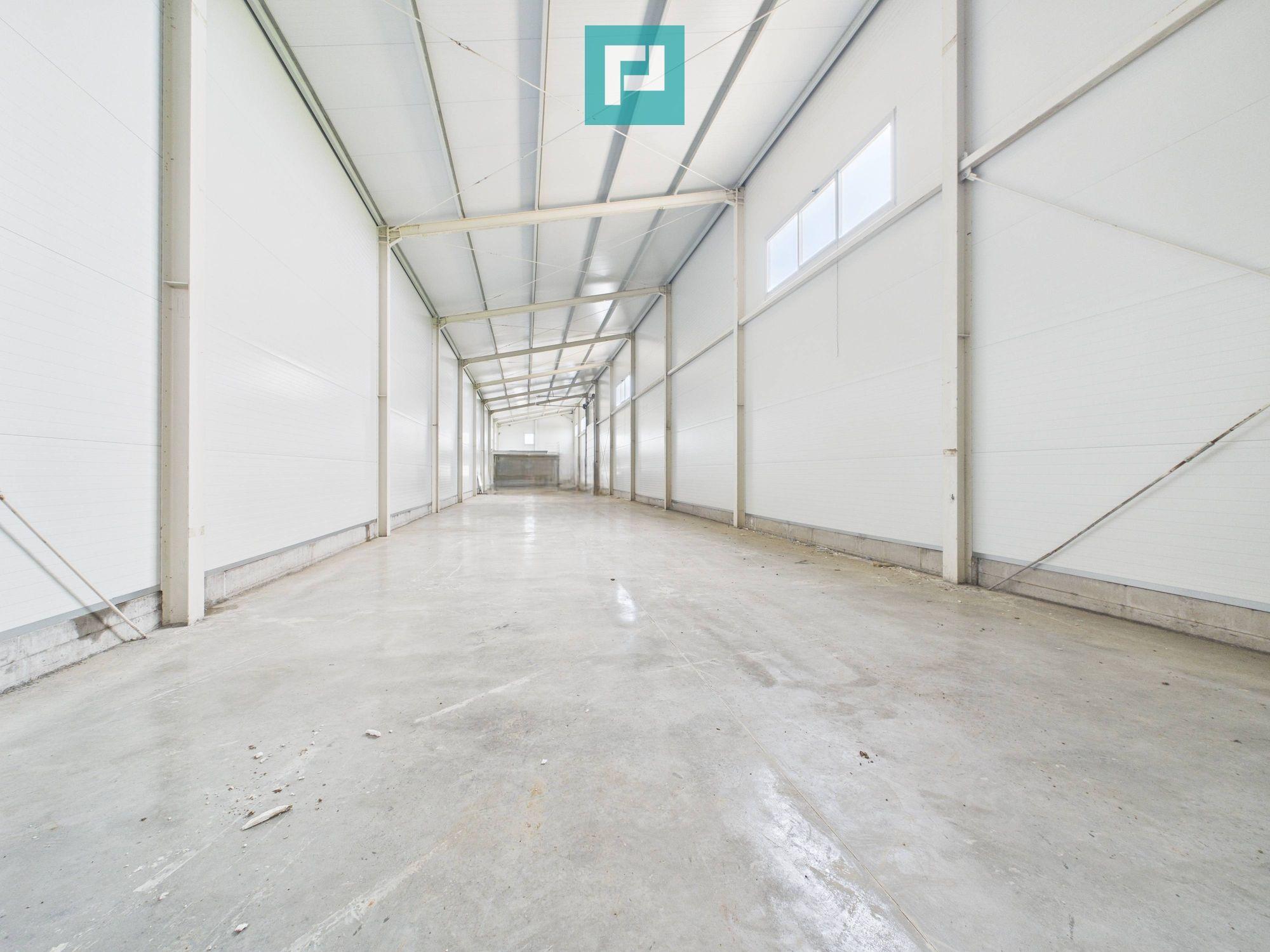 Hală nouă 563mp în zona industrială Sânandrei - 4