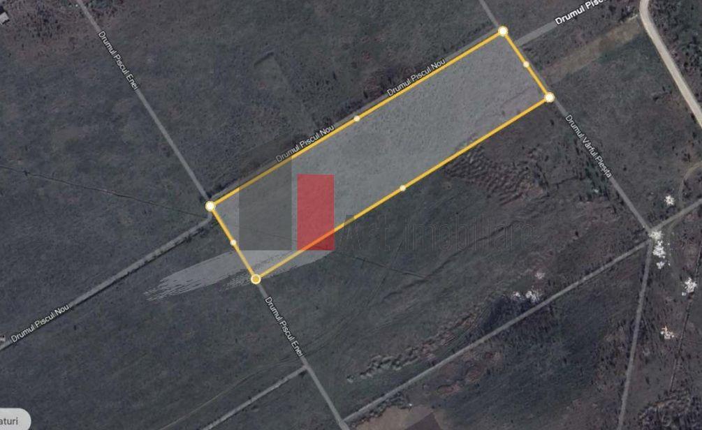 Teren cartier Padurea Baneasa - 3