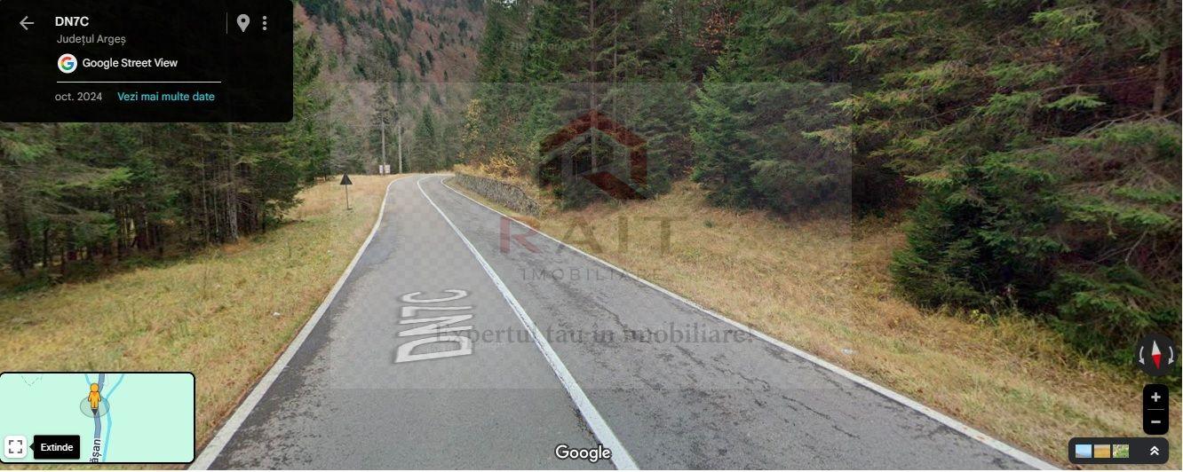 TEREN EXTRAVILAN PADURE PISCUL NEGRU ARGES - 2