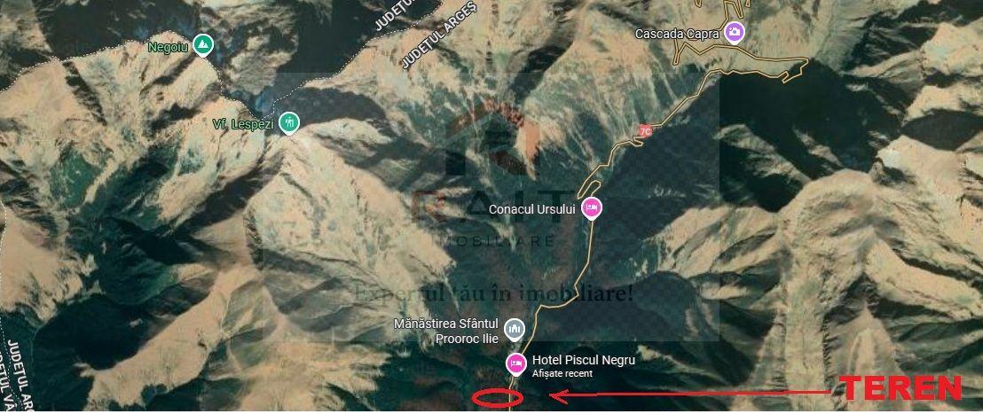 TEREN EXTRAVILAN PADURE PISCUL NEGRU ARGES - 9