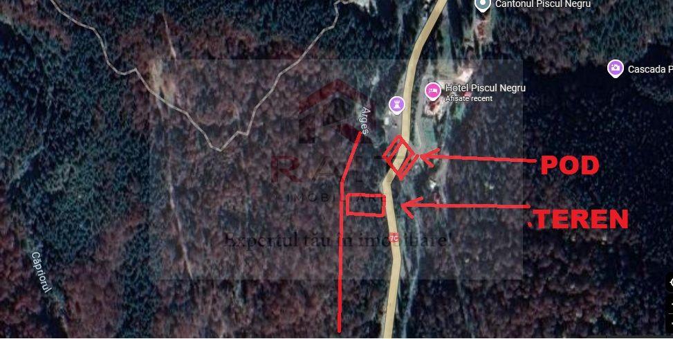 TEREN EXTRAVILAN PADURE PISCUL NEGRU ARGES - 10