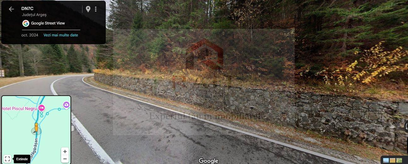 TEREN EXTRAVILAN PADURE PISCUL NEGRU ARGES - 4