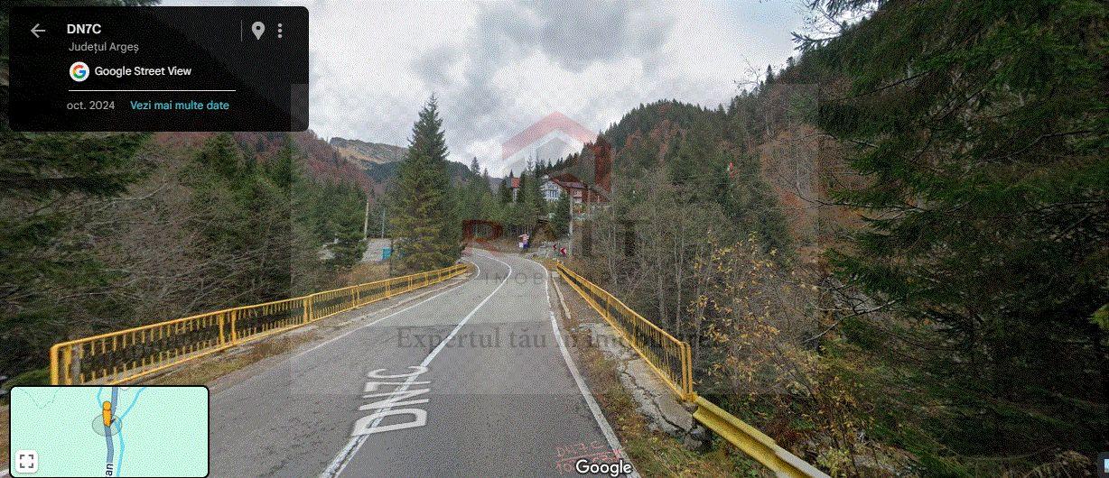 TEREN EXTRAVILAN PADURE PISCUL NEGRU ARGES - 3