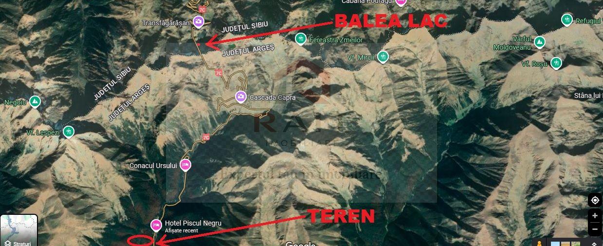 TEREN EXTRAVILAN PADURE PISCUL NEGRU ARGES - 7