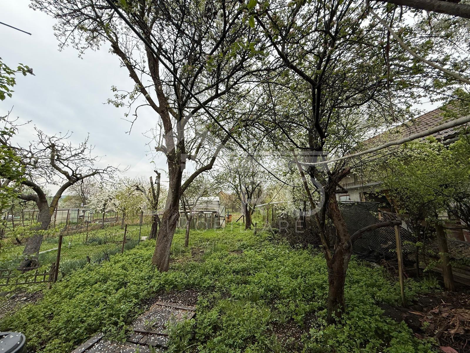 Vand casa in Sancraiu de Mures , situat in Sancraiu de Mures - 7