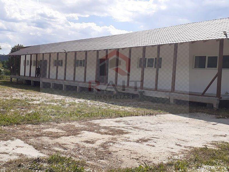 Hala de Inchiriat Godeni Arges - 2