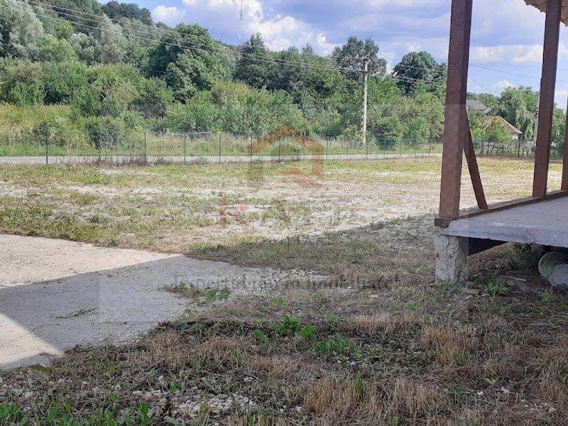 Hala de Inchiriat Godeni Arges - 7