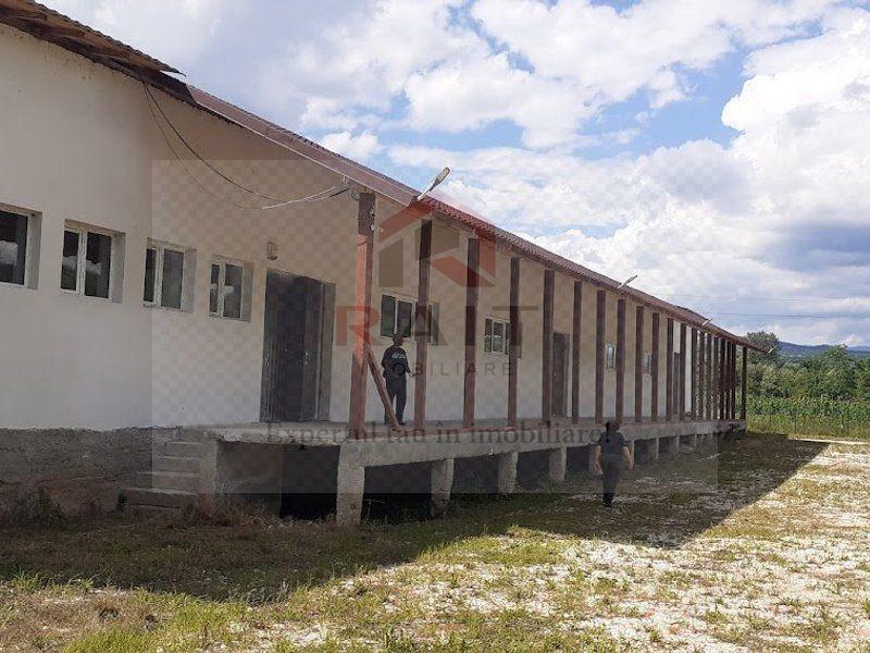 Hala de Inchiriat Godeni Arges - 4