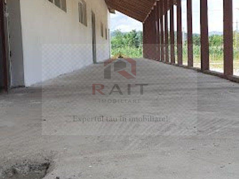 Hala de Inchiriat Godeni Arges - 3