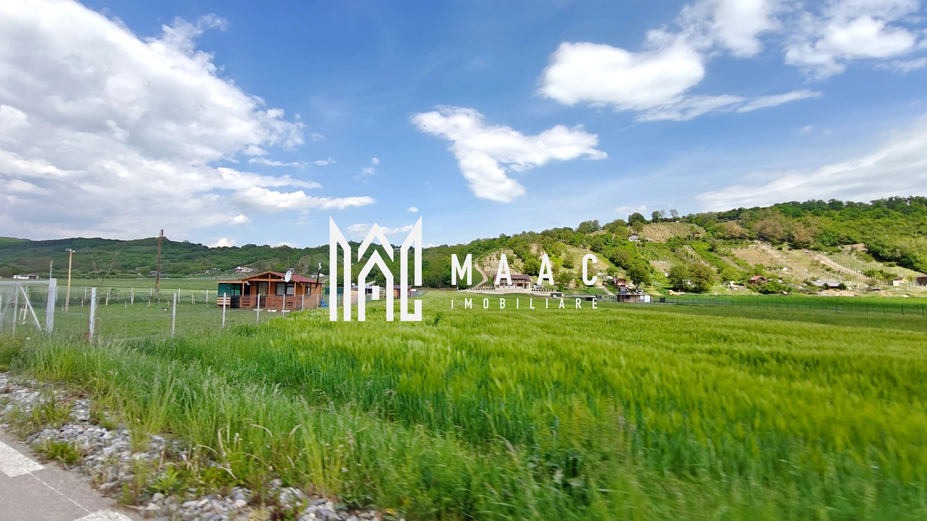 Teren pentru cabane I 736 mp I Cristian- 10 minute de Sibiu - 1