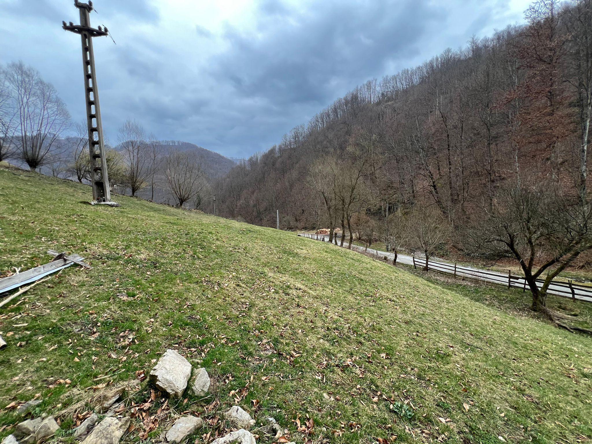 Teren intravilan 1.28ha Remeti–perfect pensiune/cabane, zonă turistica - 8