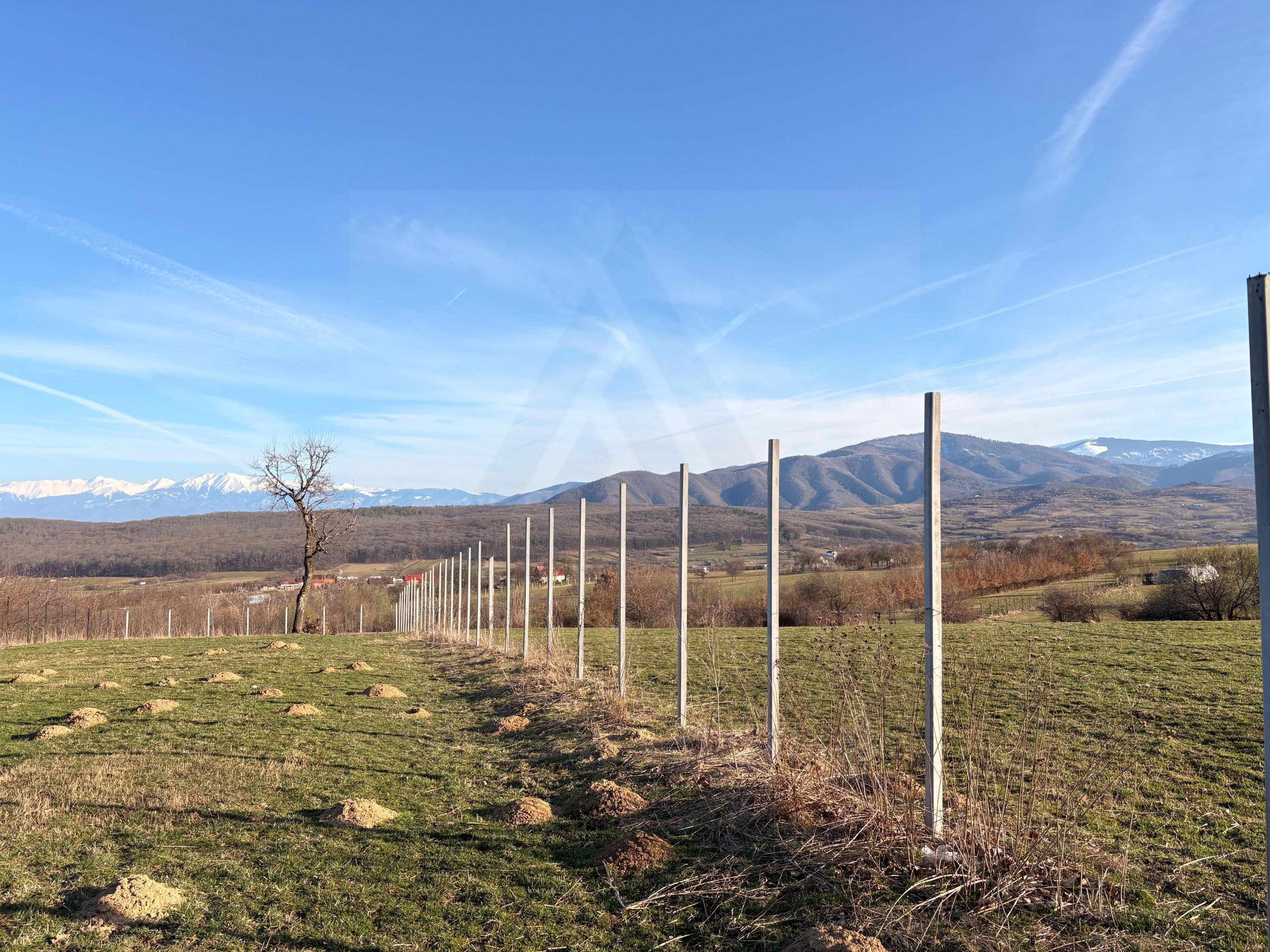 Teren intravilan 809 mp cu deschidere 14 m în Tropinii Noi - 6