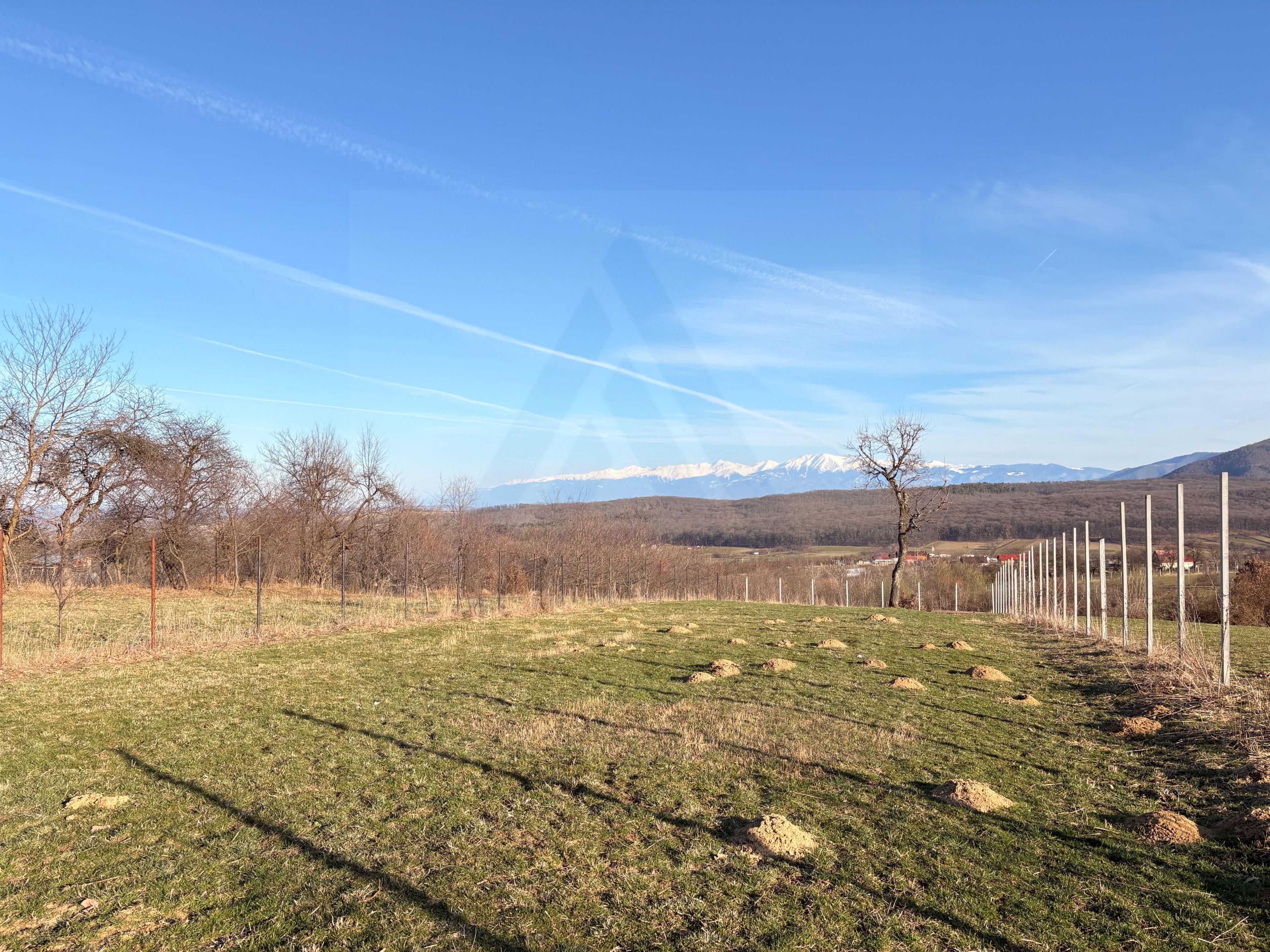 Teren intravilan 809 mp zonă în plină dezvoltare Tropinii Noi - 2