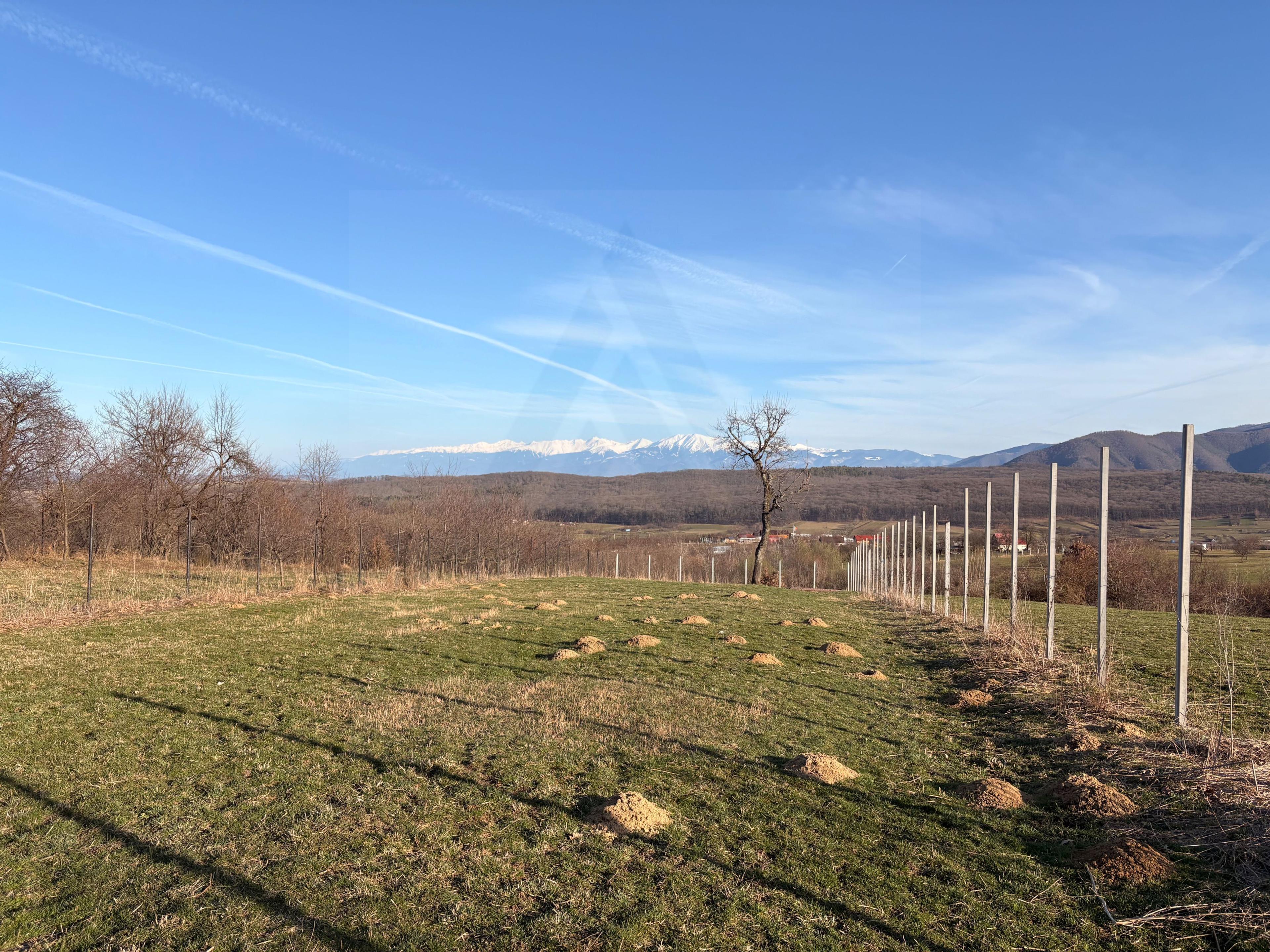 Teren intravilan 809 mp zonă în plină dezvoltare Tropinii Noi