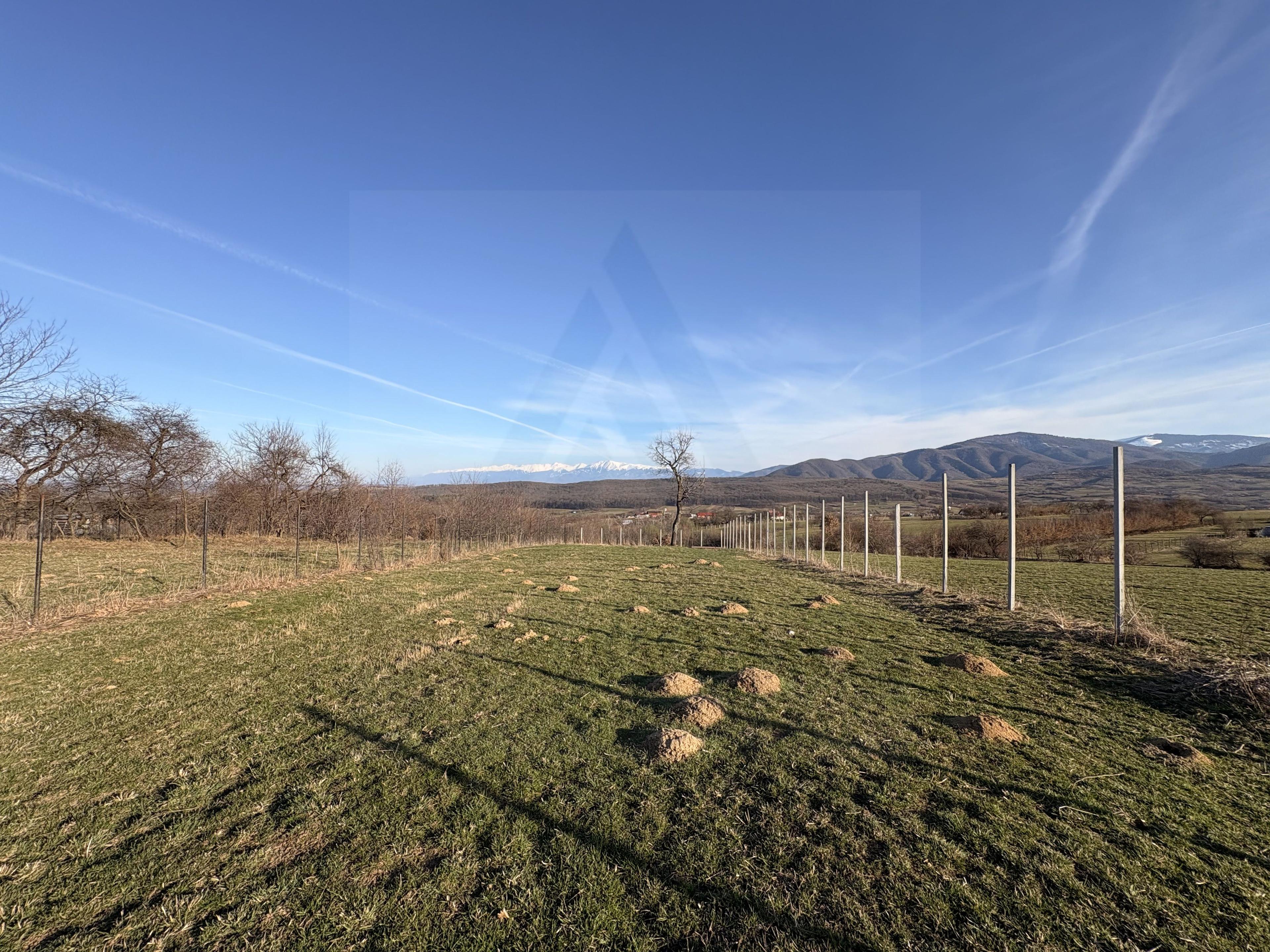 Teren intravilan 809 mp zonă în plină dezvoltare Tropinii Noi - 4