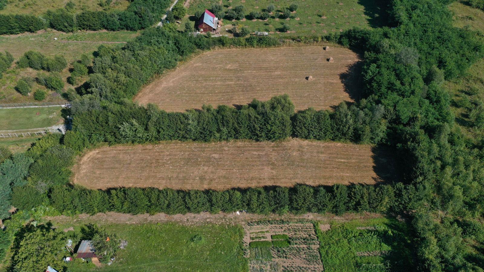 Teren intravilan 1.350 și 1.413 mp în zona Valea Avrigului - 1