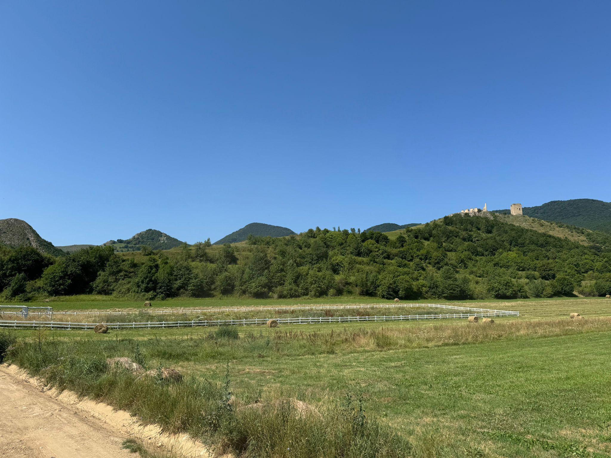 Teren de vanzare – Rimetea, Alba | 9000 mp - 2