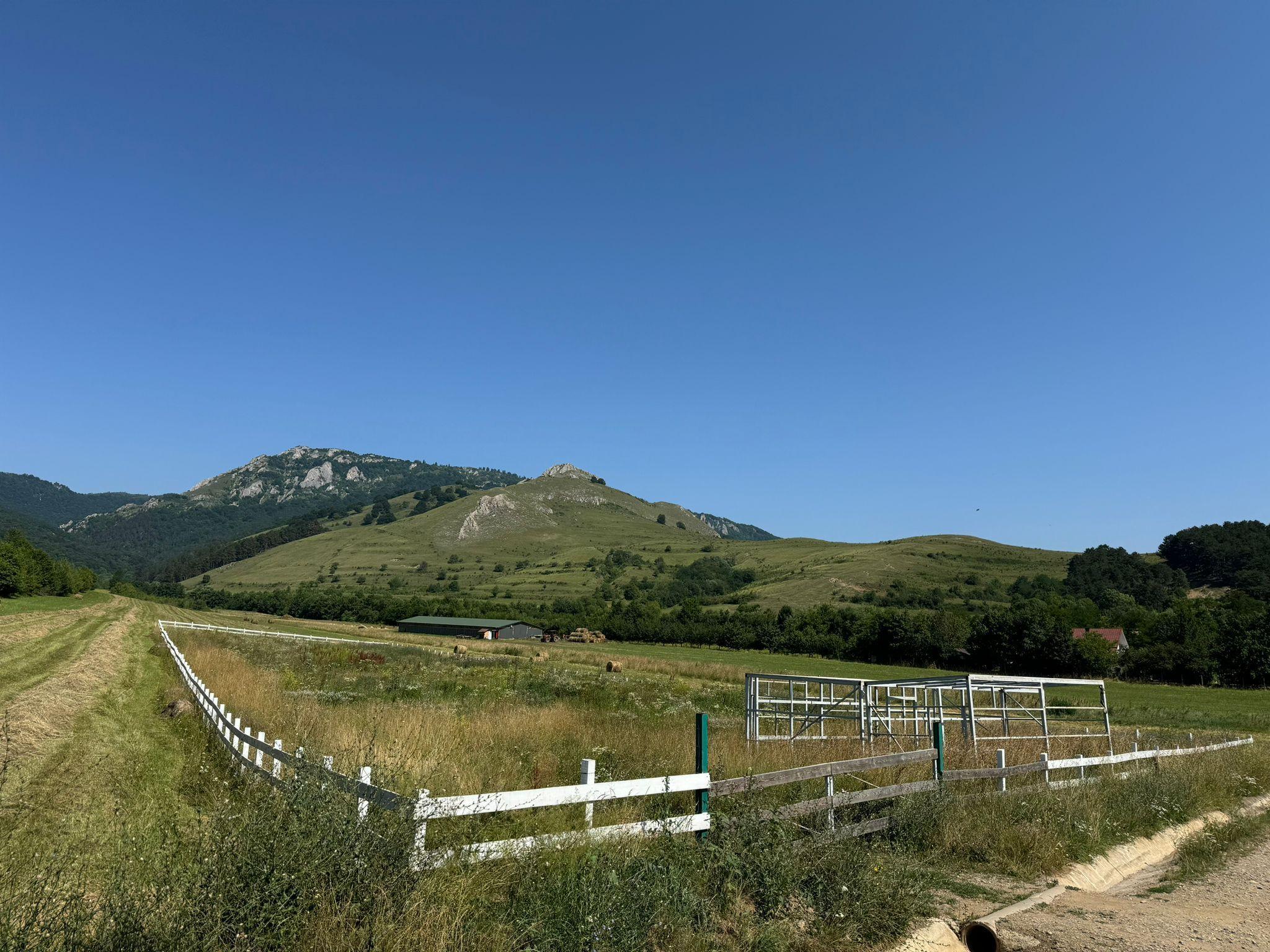 Teren de vanzare – Rimetea, Alba | 9000 mp - 3
