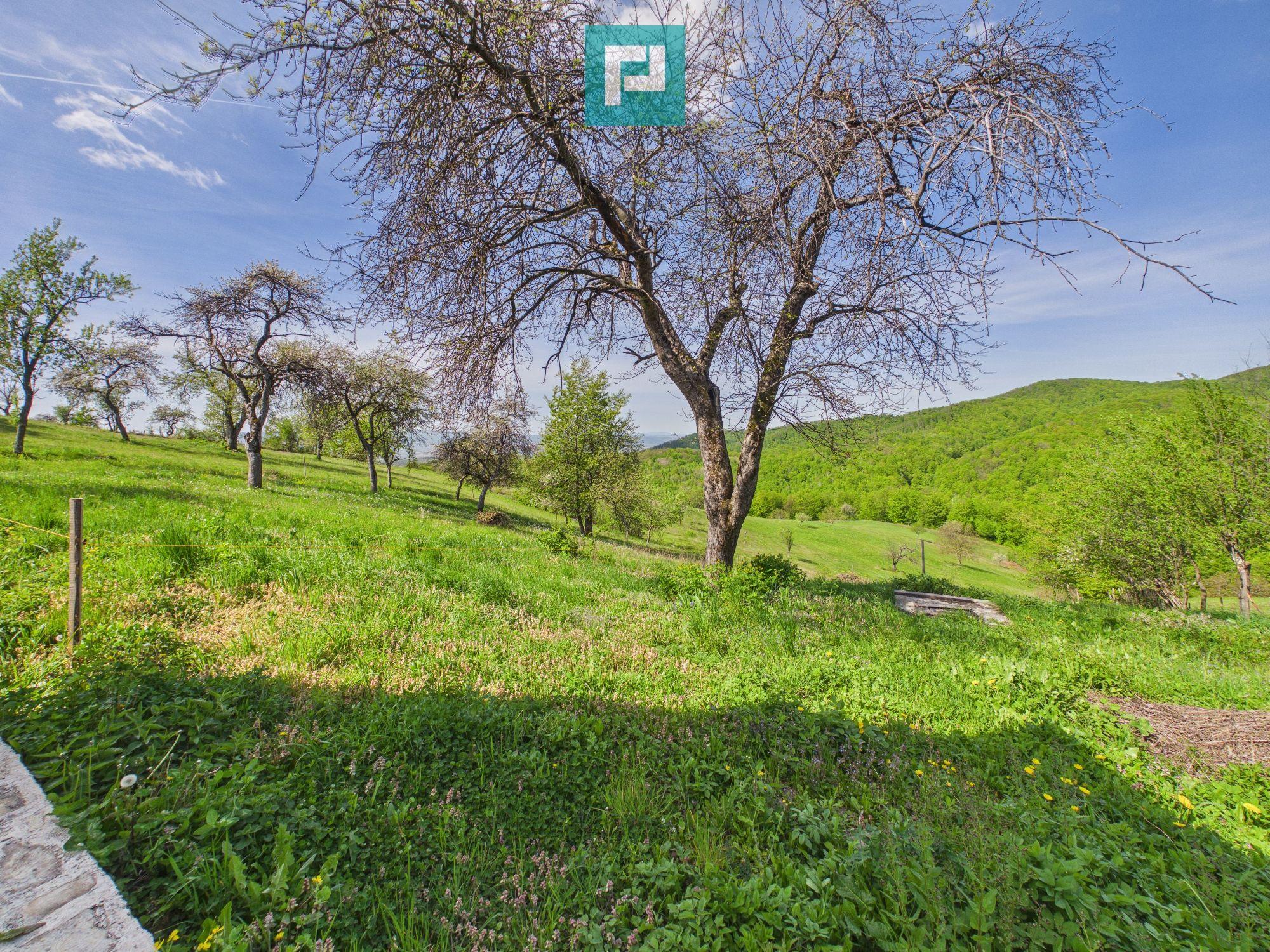 Casă pitorească de vacanță în Dulcele - 7